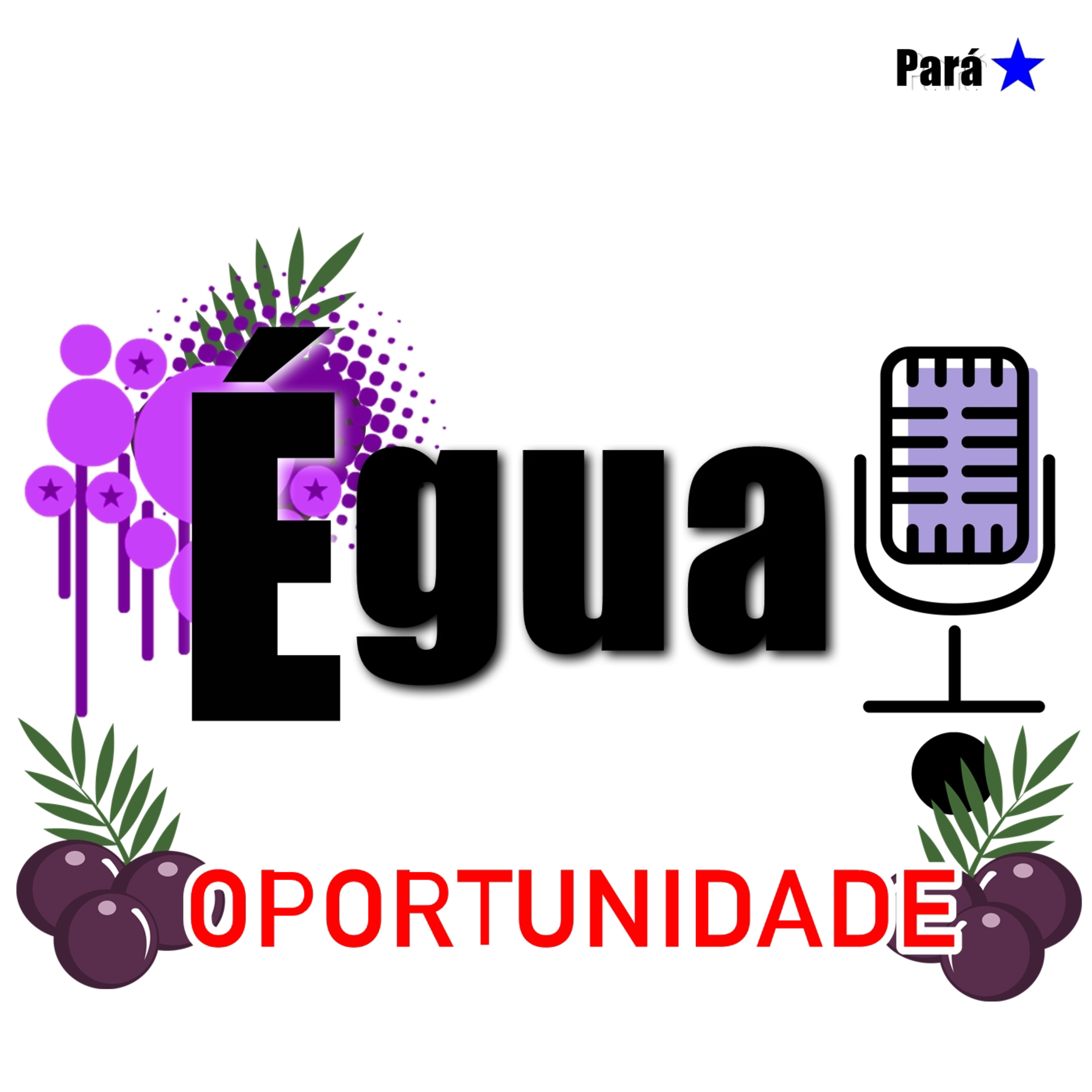 Oportunidade e desabafo episode artwork