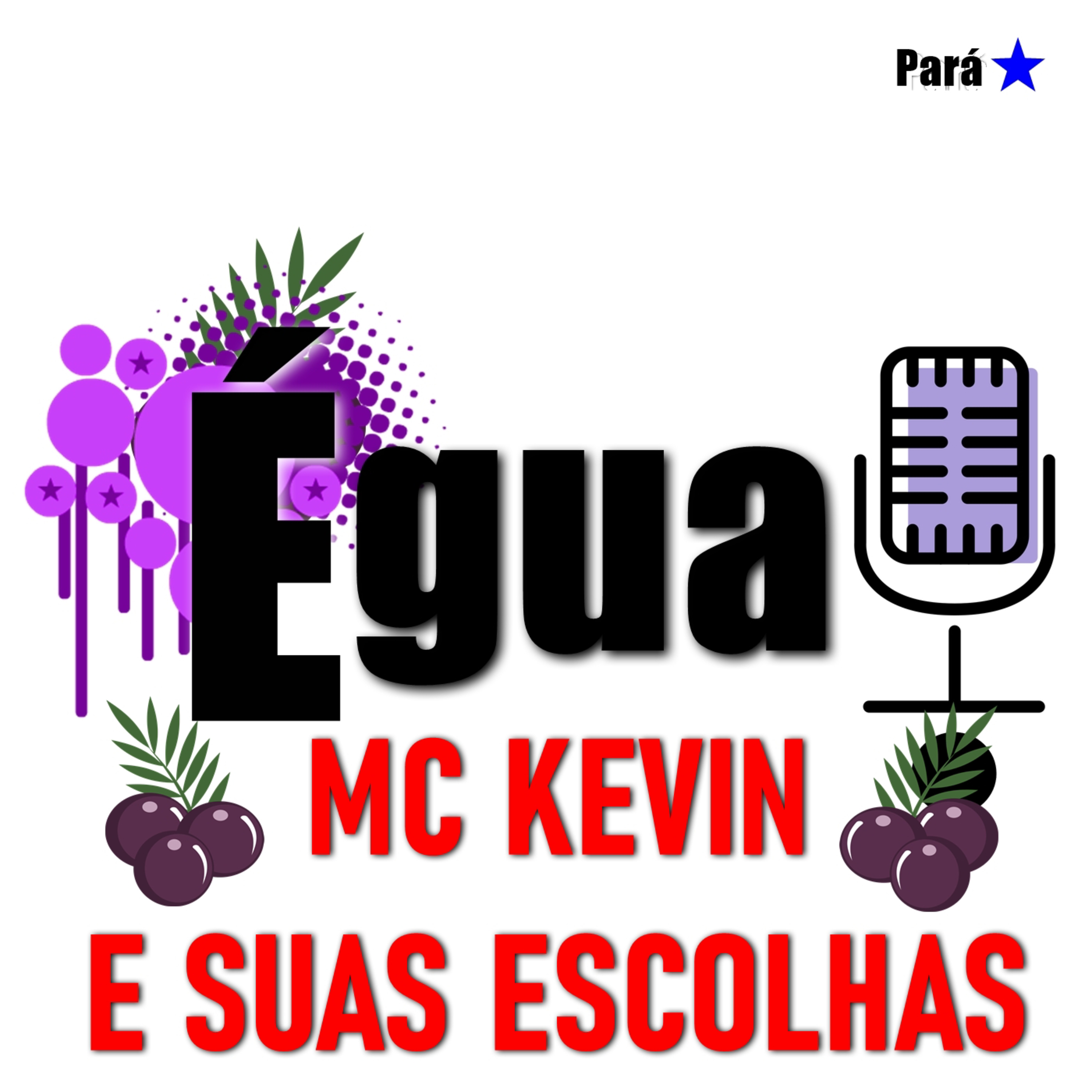 MC Kevin e suas Escolhas episode artwork