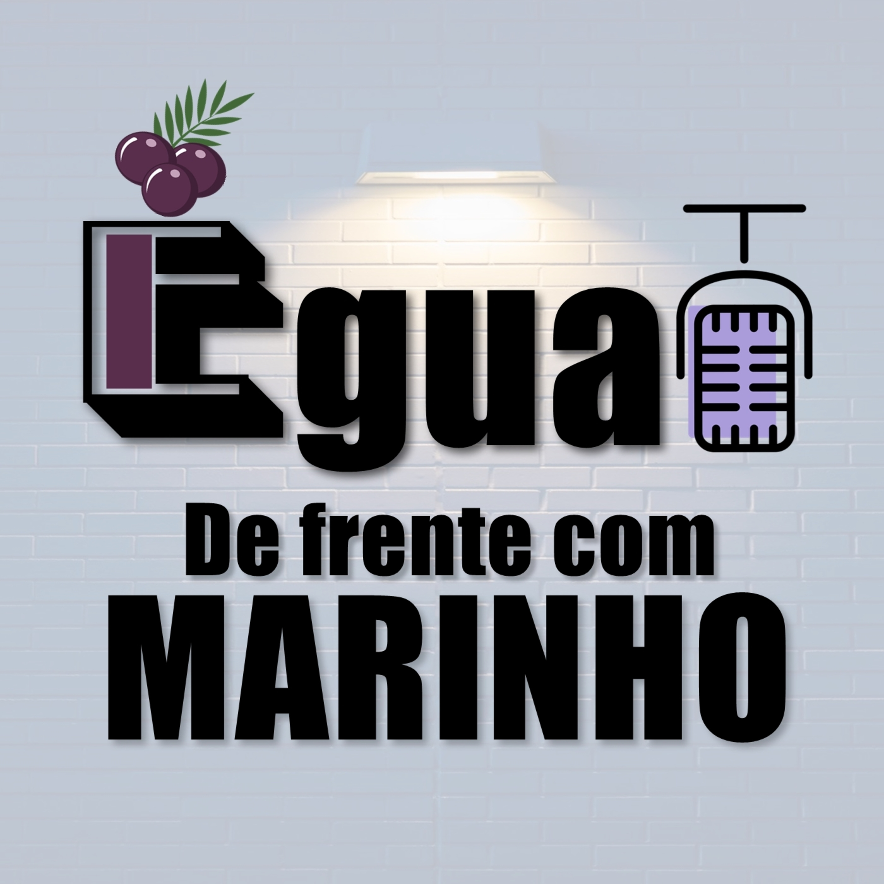 O cara das polemicas  episode artwork