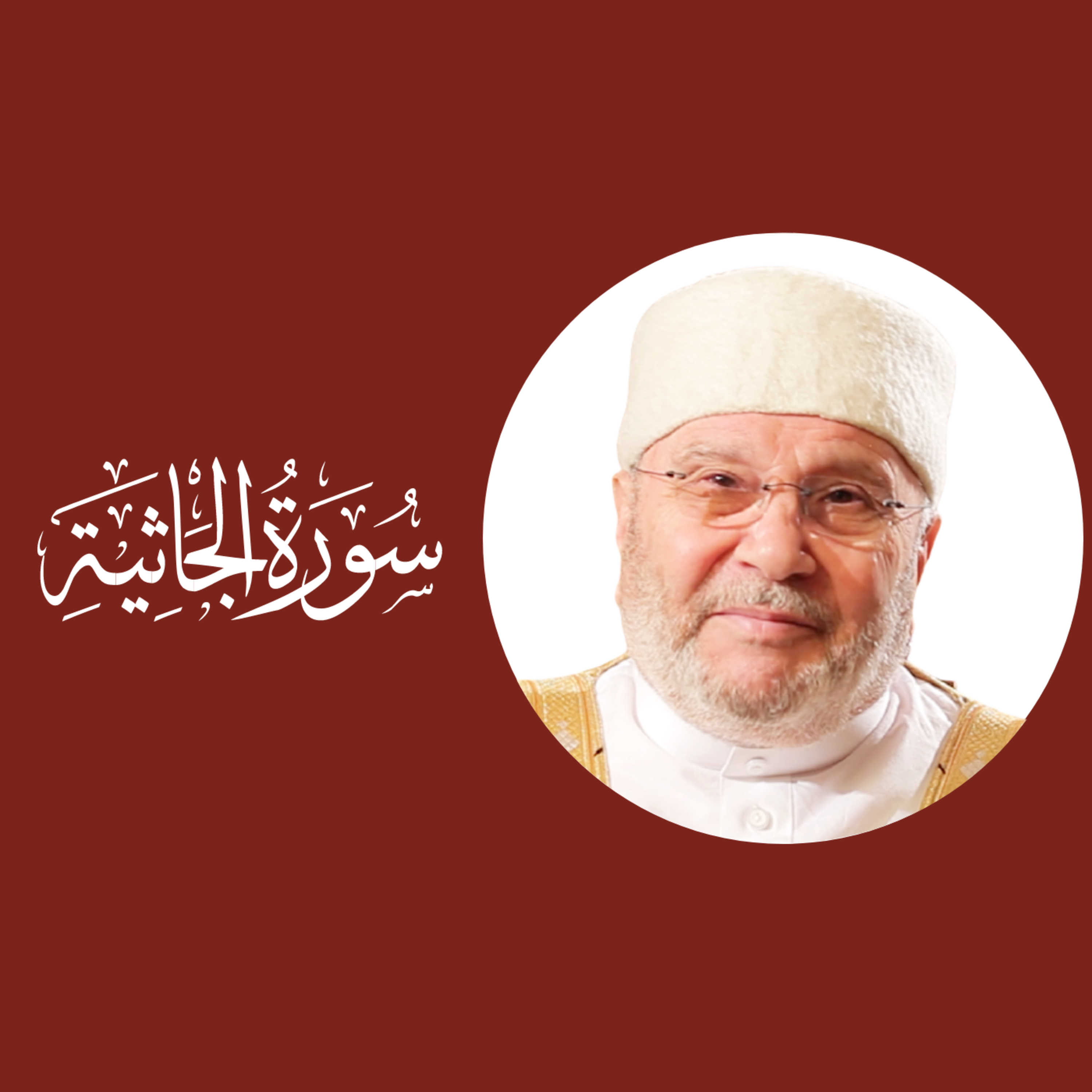 سورة الجاثية (45) : الدرس 3 / 8 : الآيات 12 - 13