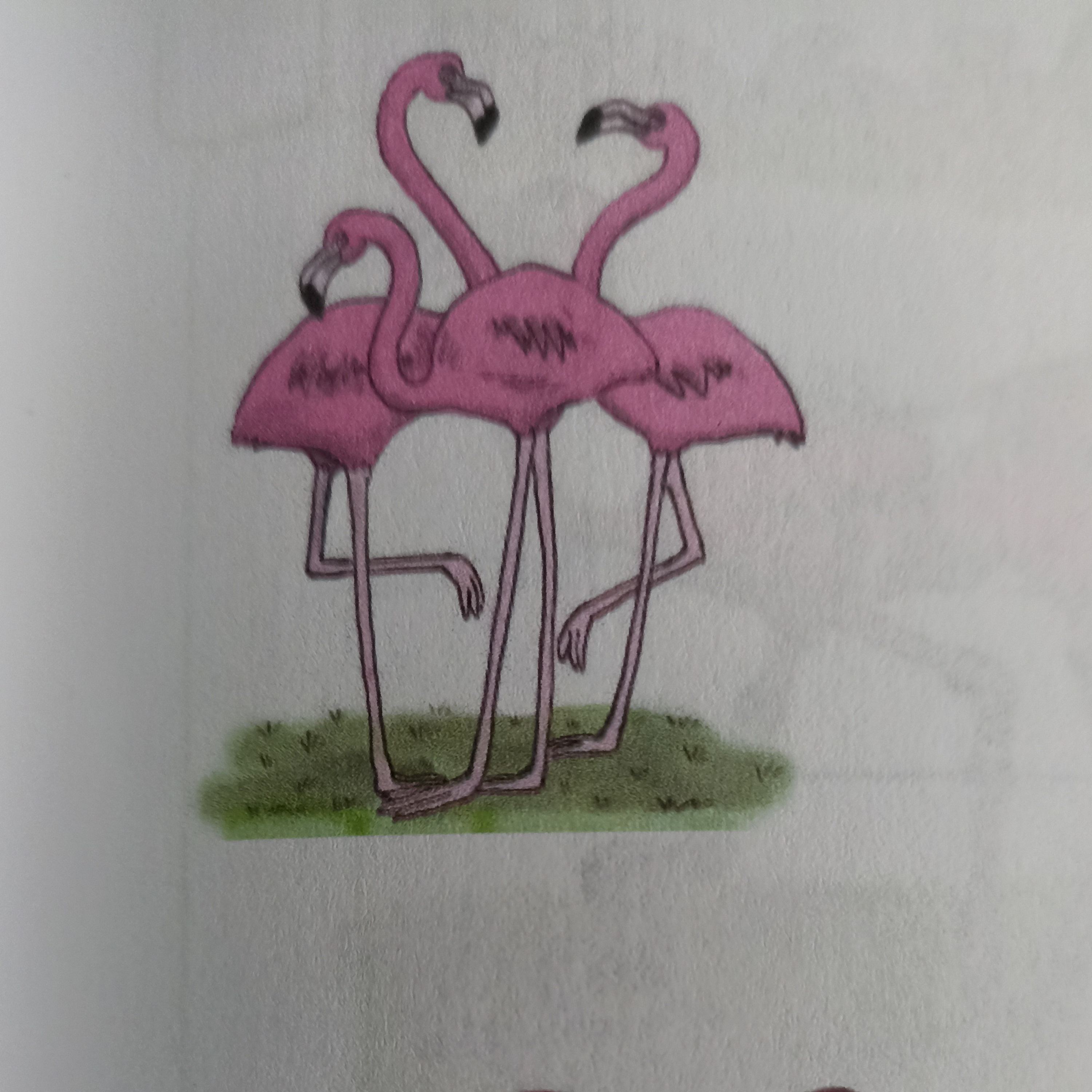 Las medias de los flamencos 