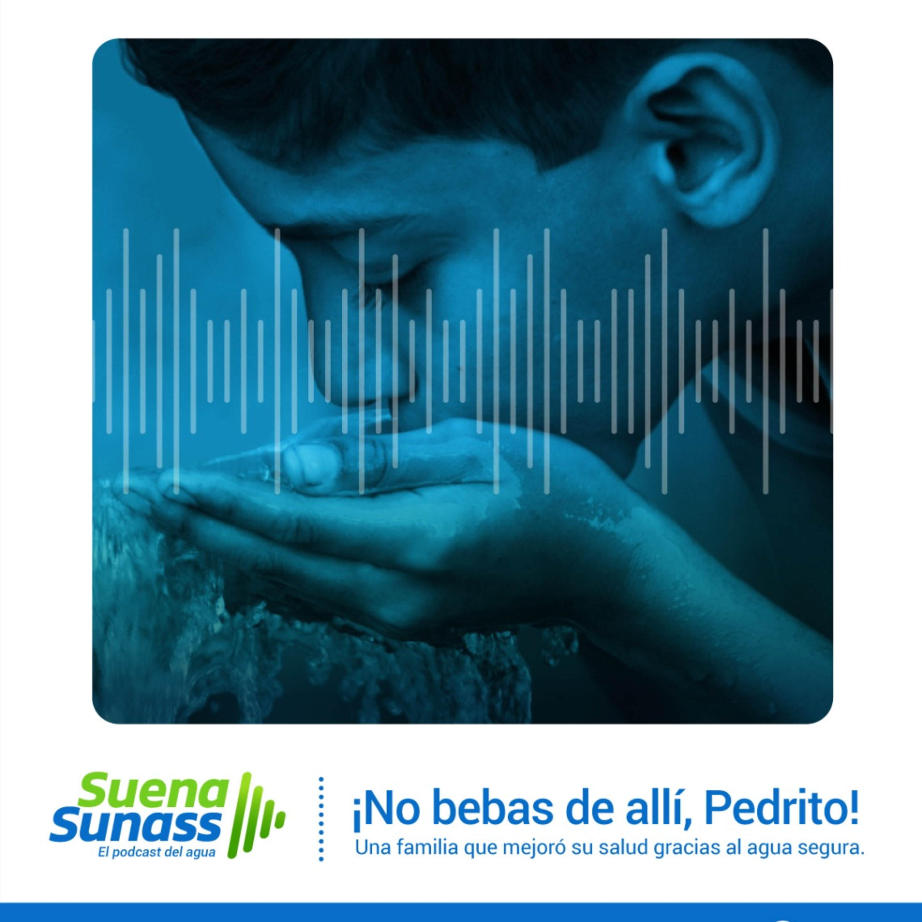 Suena Sunass