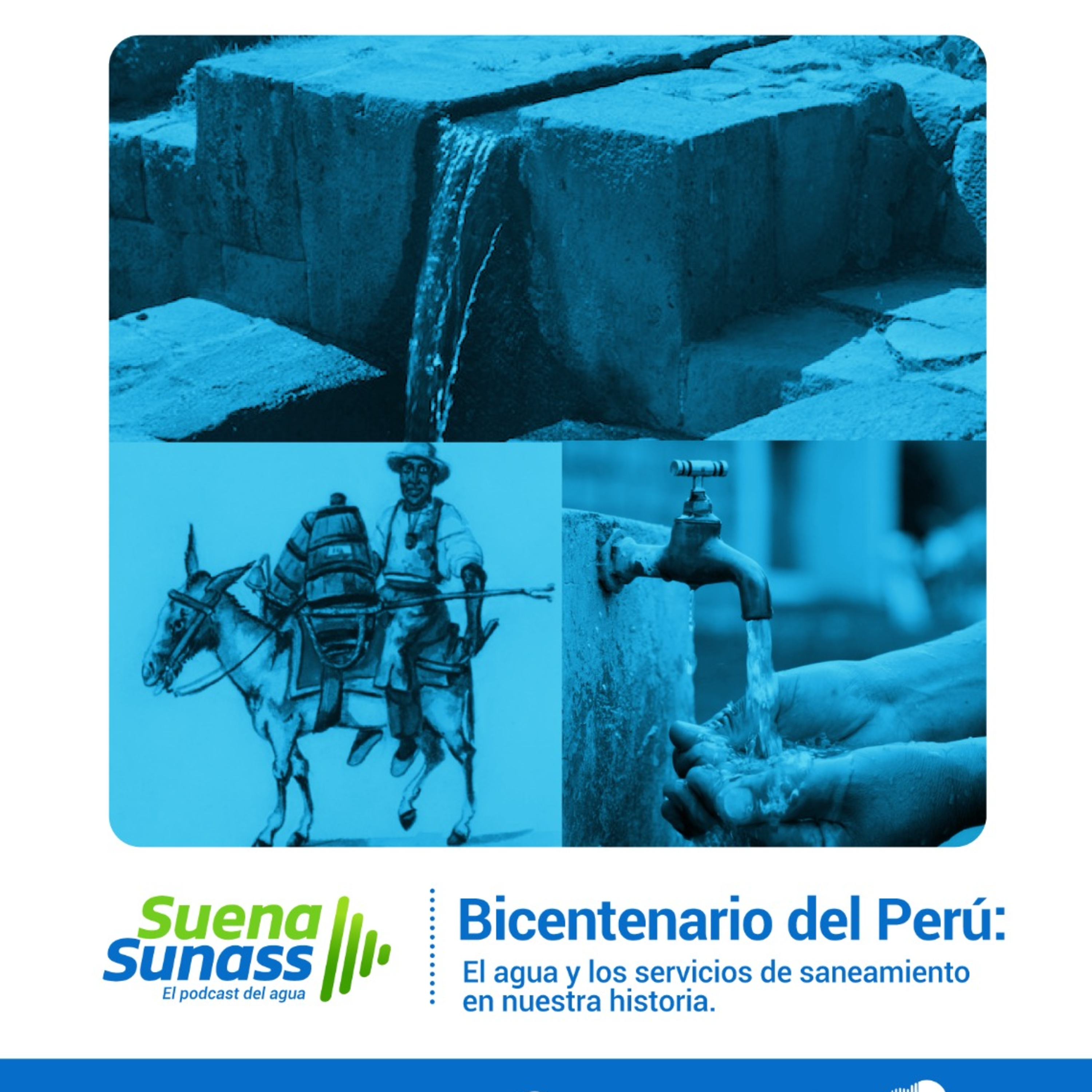 Suena Sunass
