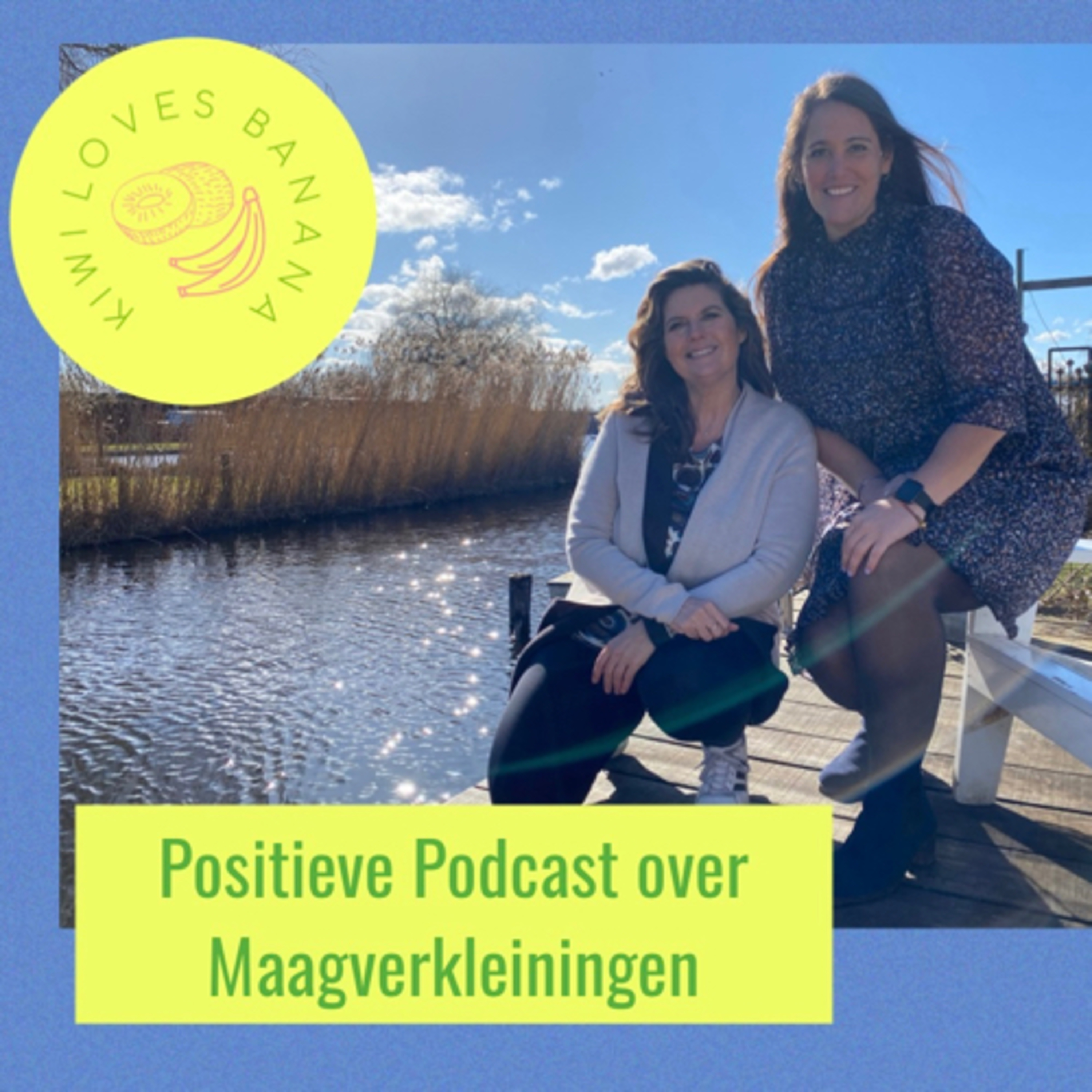 Hoe gaat een dagbehandeling bij een maagverkleining?  episode artwork