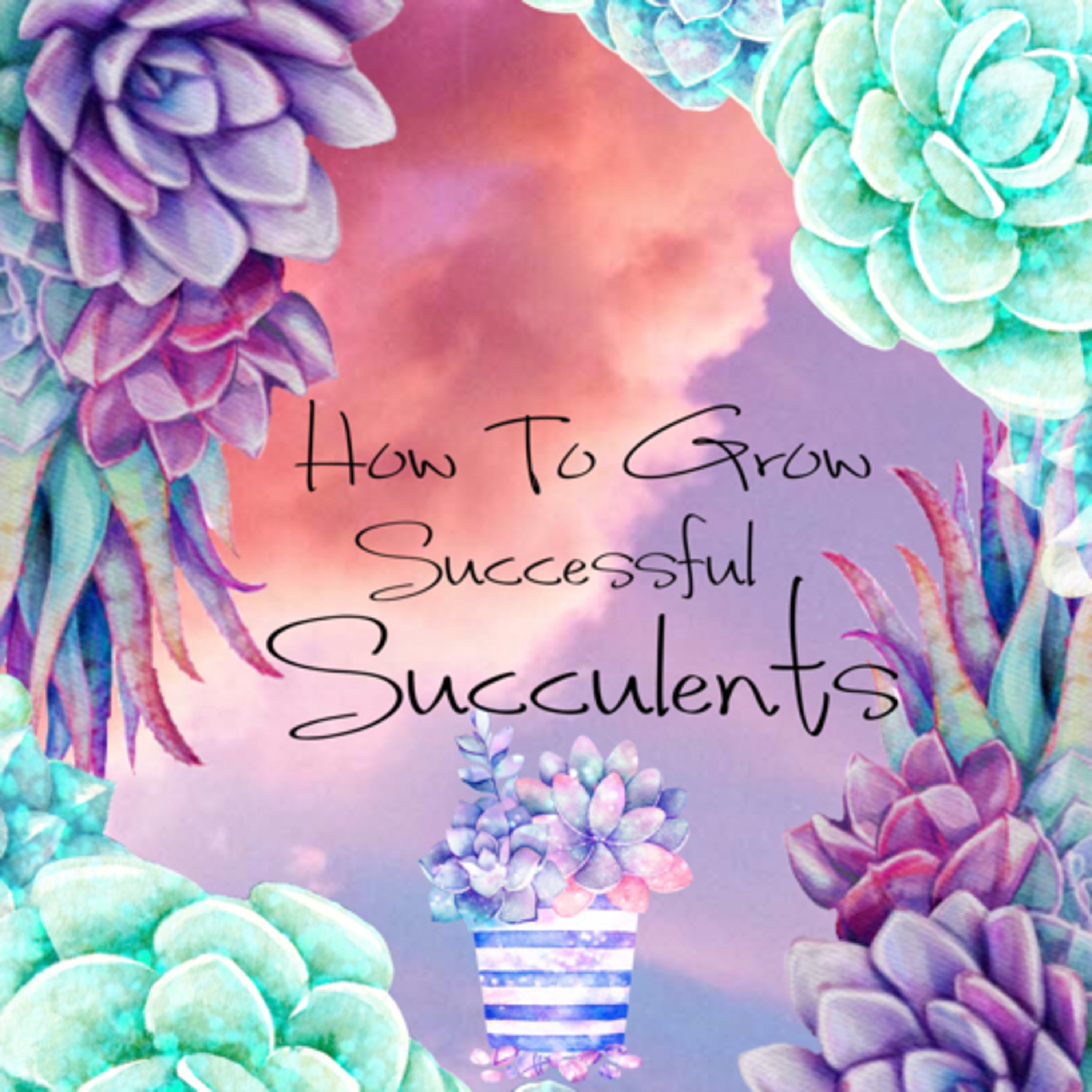 How To Grow Successful Succulents 