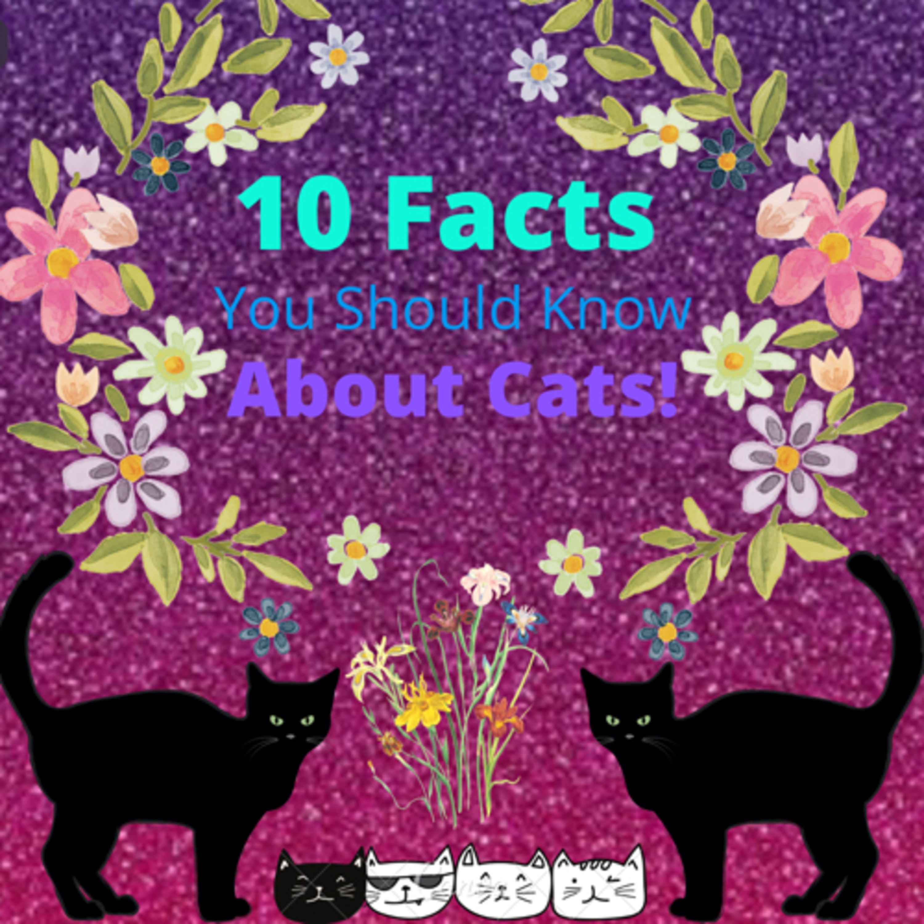 10 Facts You Should Know About Cats! episode artwork