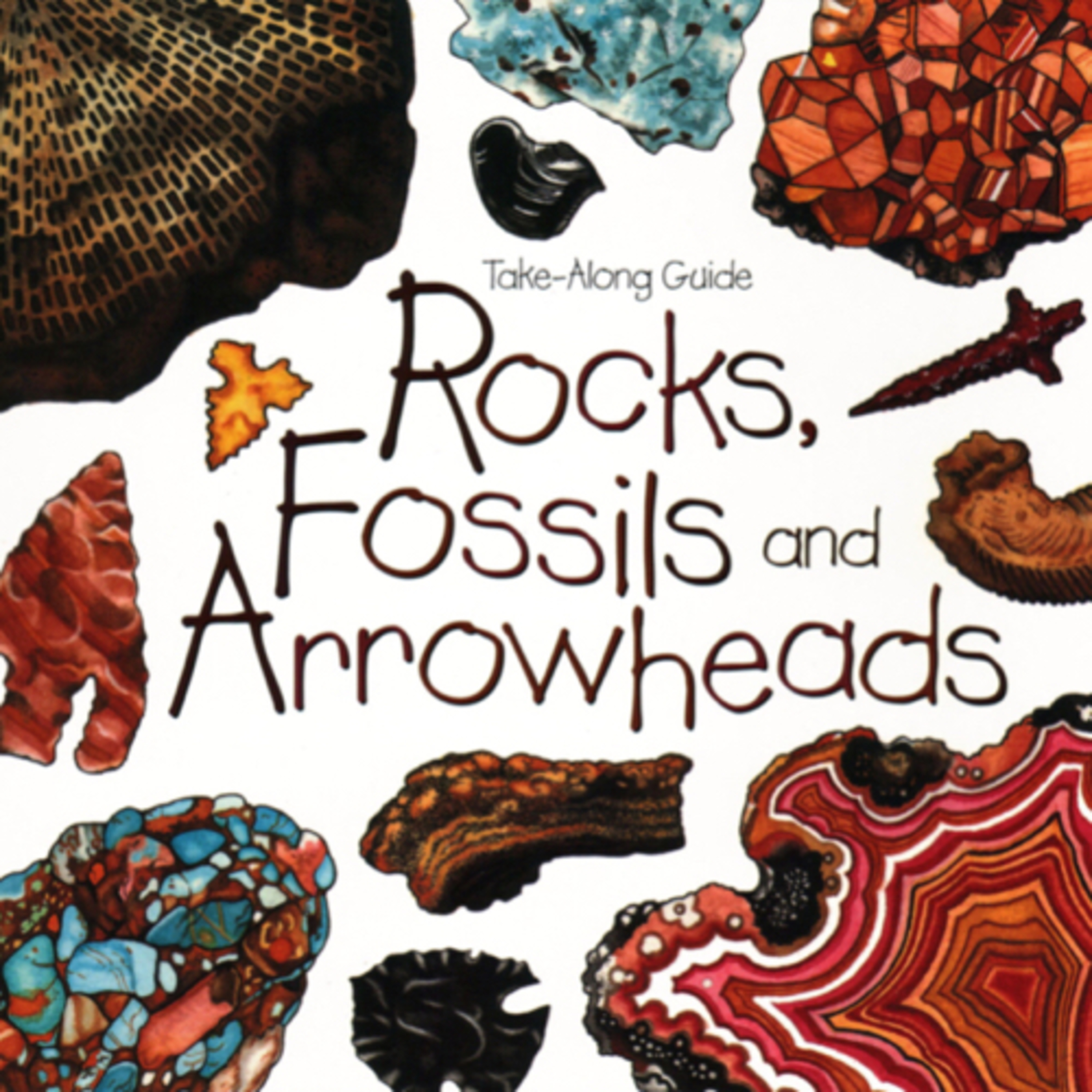 More Fun With Nature! - Rocks, Fossils and Arrowheads!