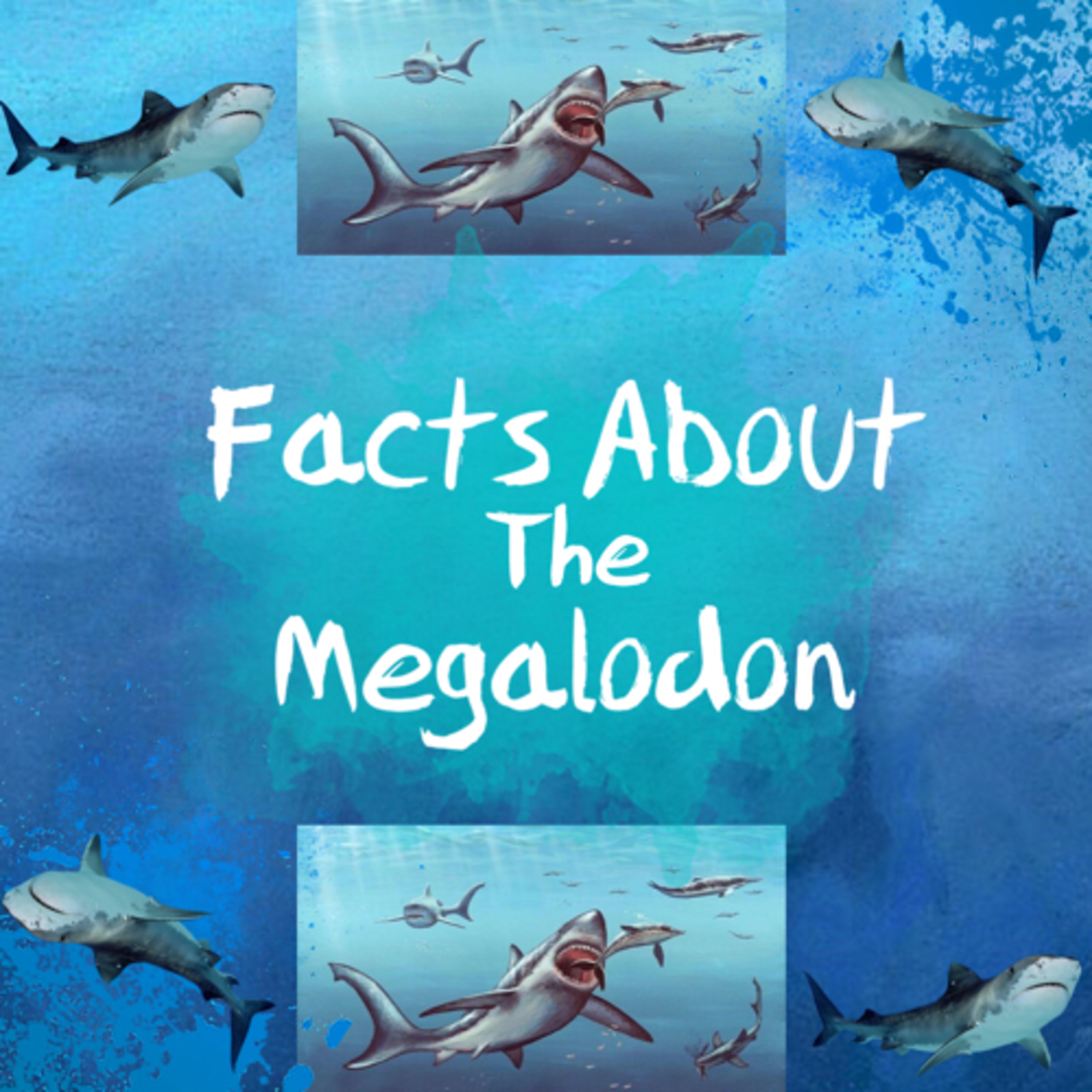 Facts About The Megalodon! episode artwork