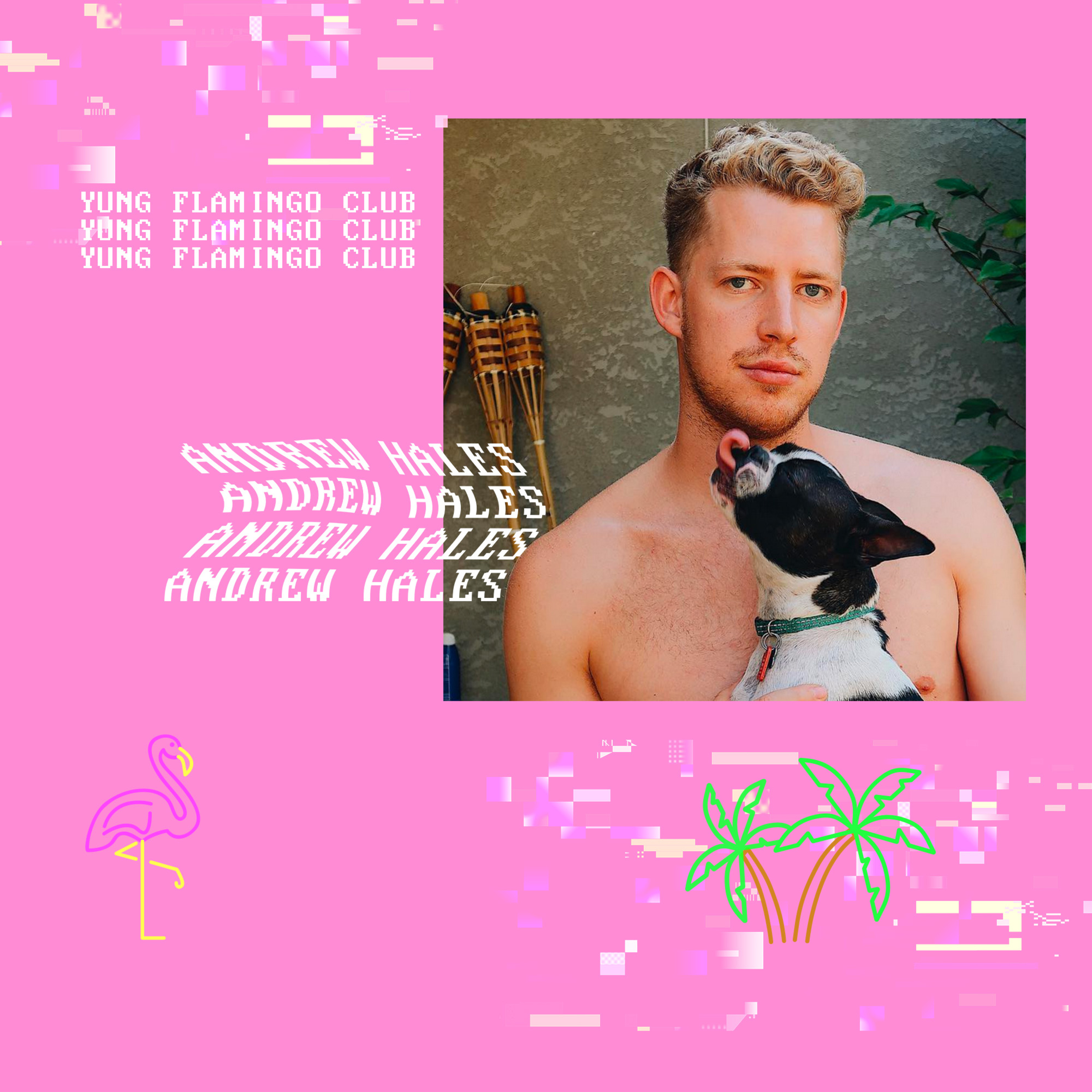 Yung Flamingo Club