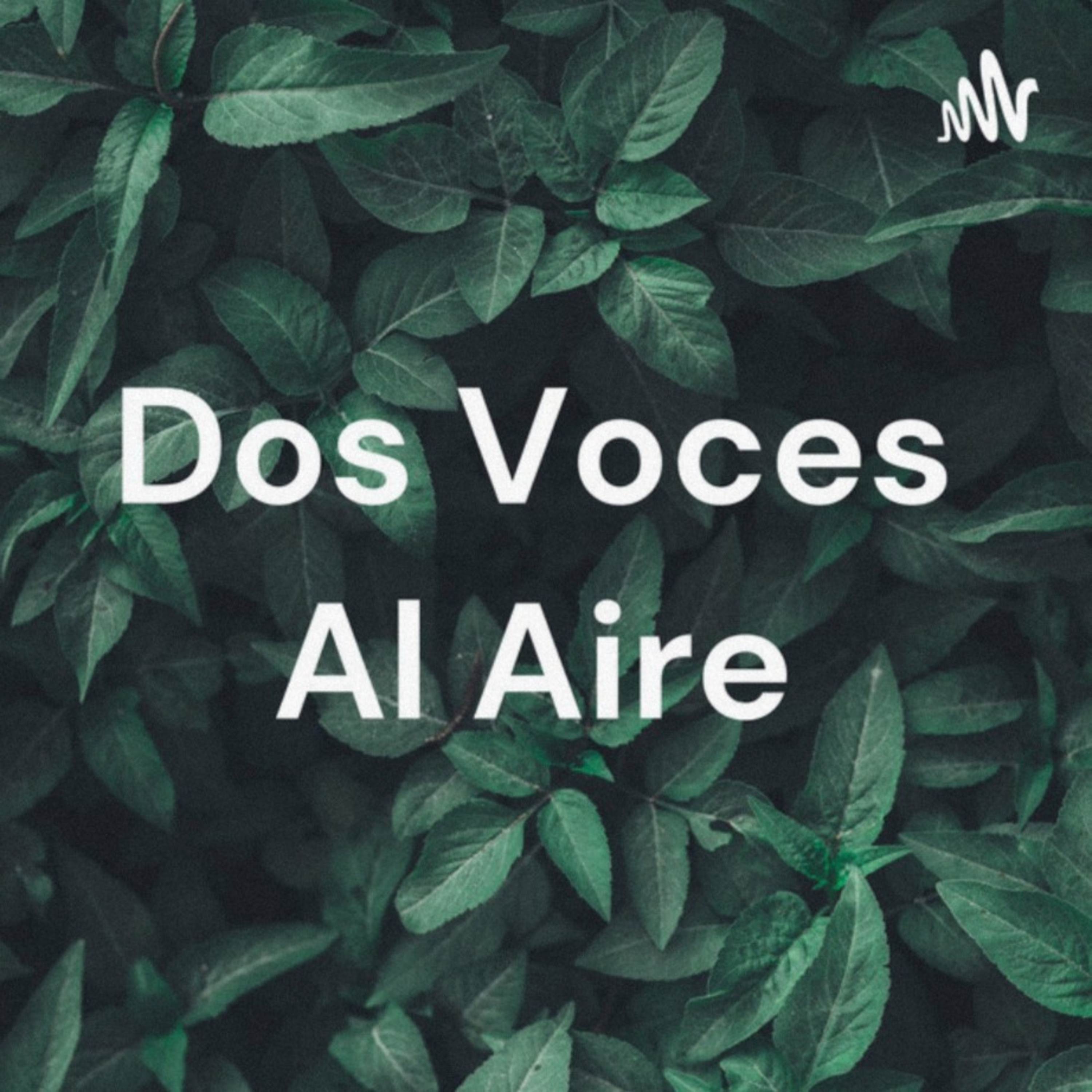 Dos Voces Al Aire