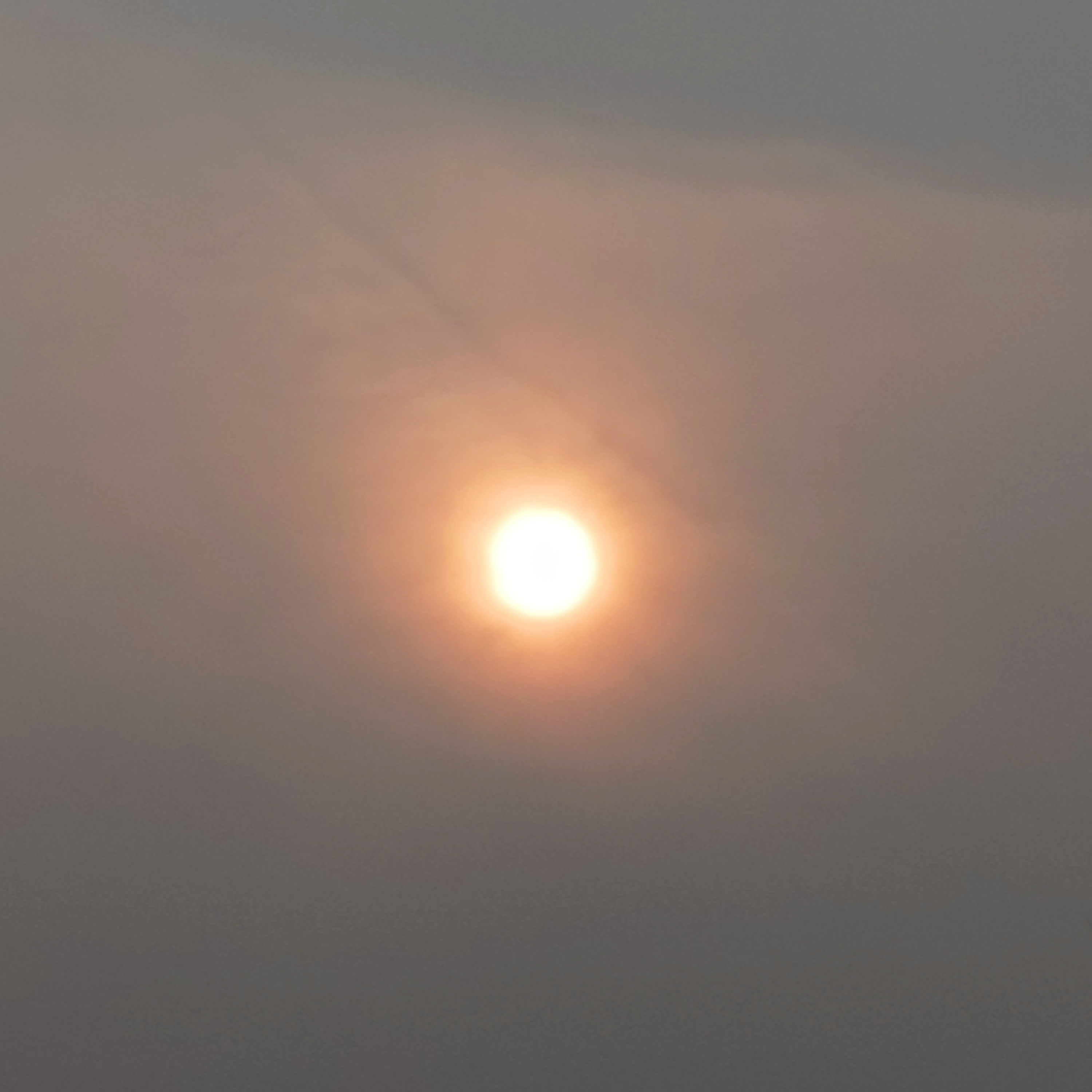 जाति क्या है, ब्राह्मण कौन है, शरीर, जाति,ज्ञान, कर्म,धर्म, या कुछ और ही? 