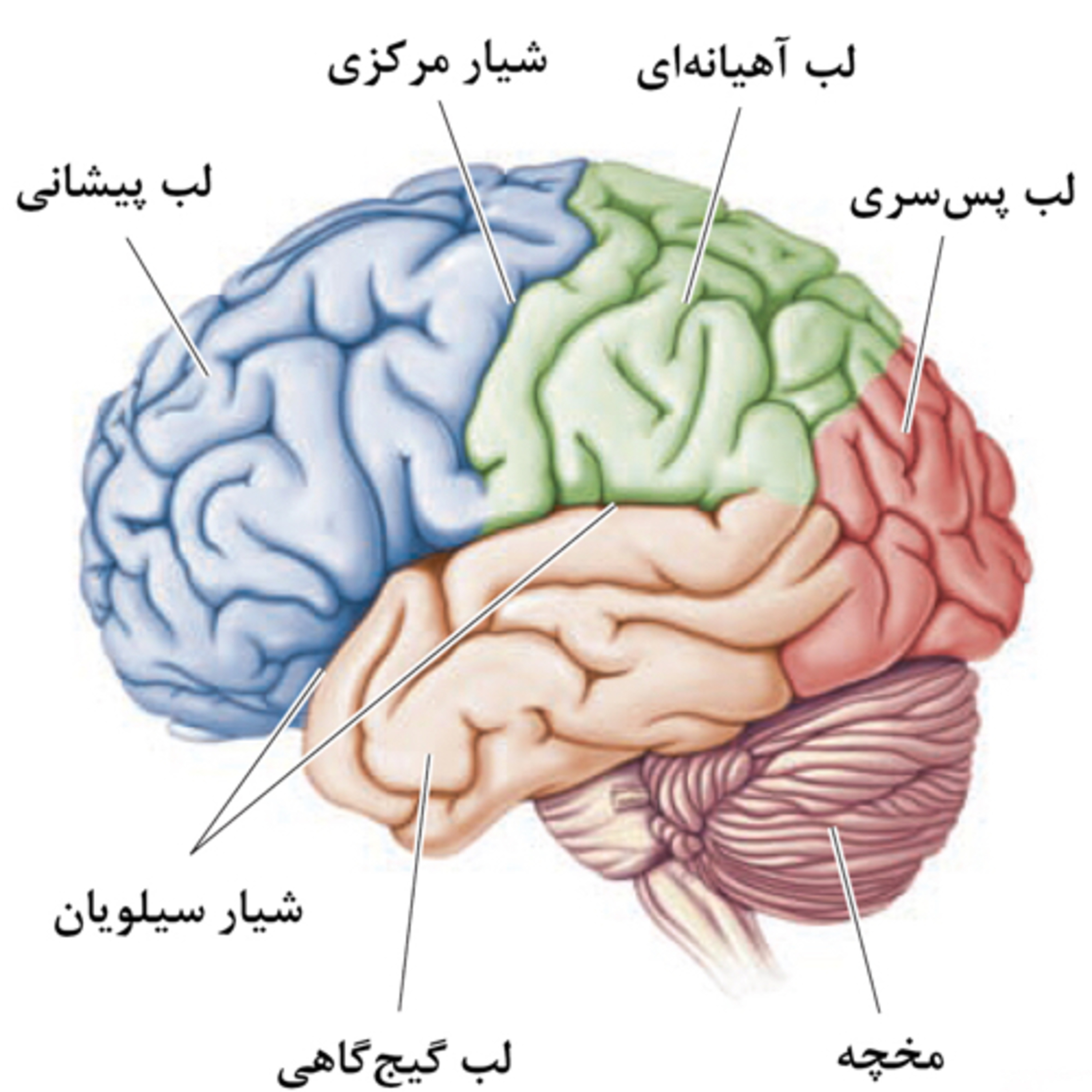 کاور تفکر هوشمند ۱۰