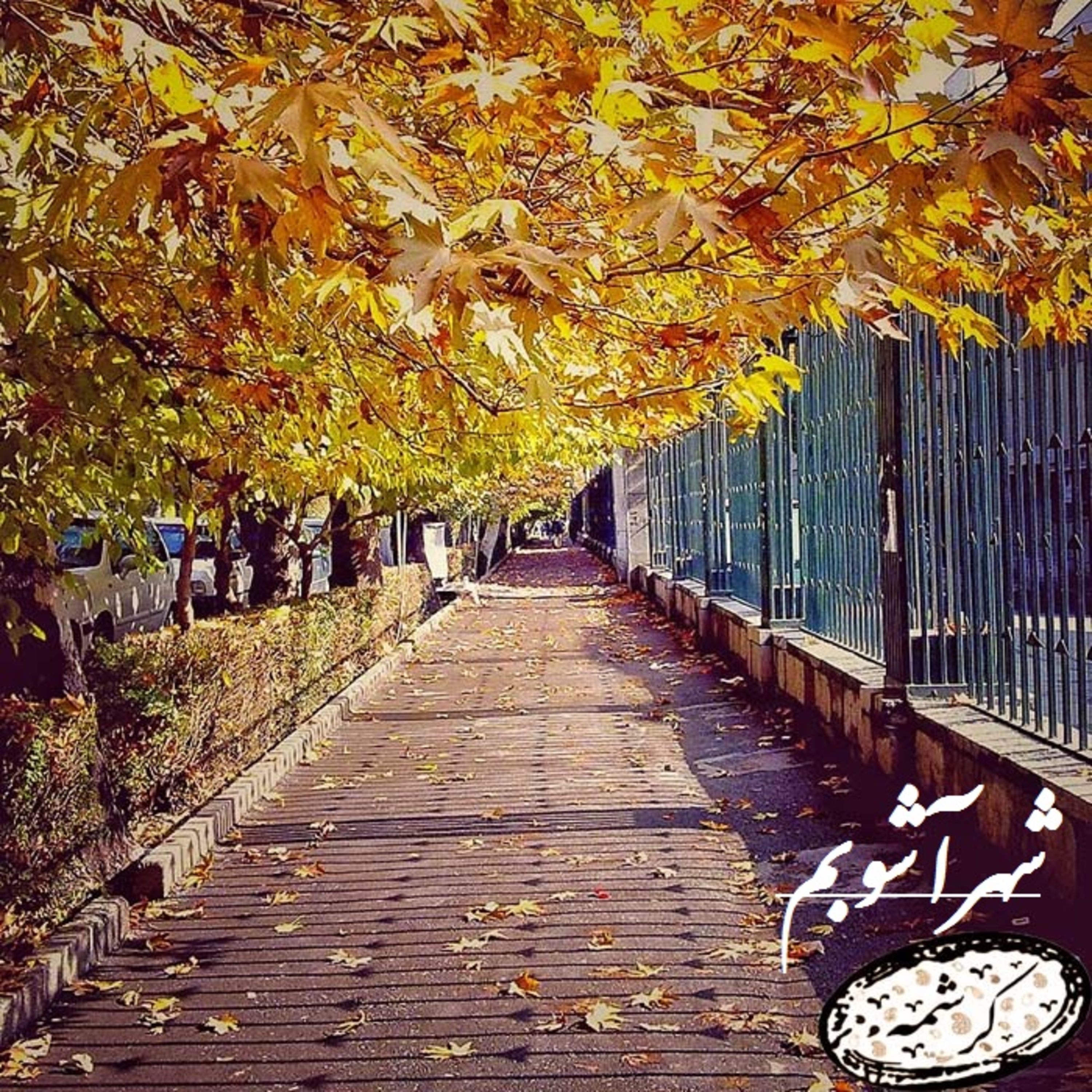 شهرآشوب episode artwork