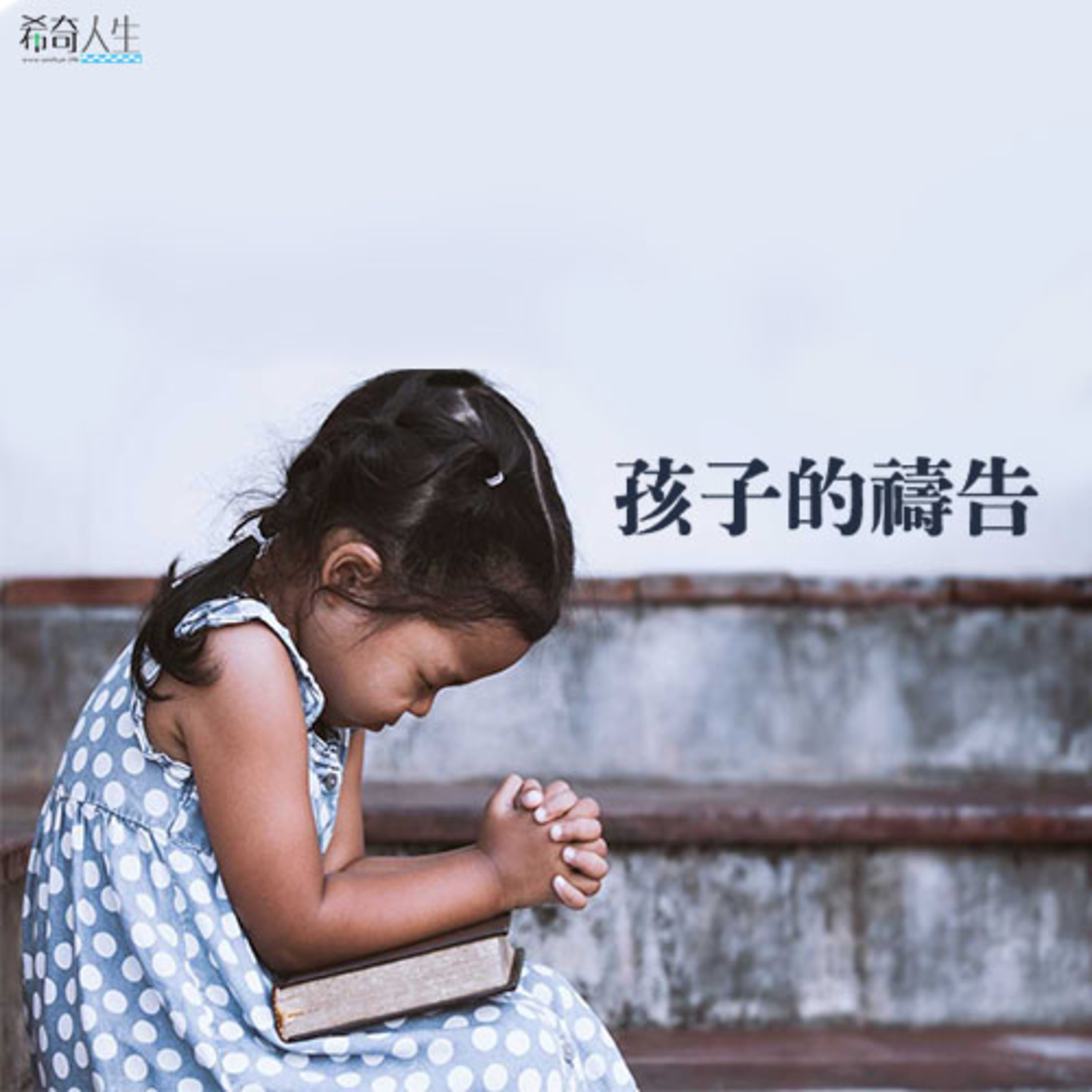 花園裡的光合進行曲
