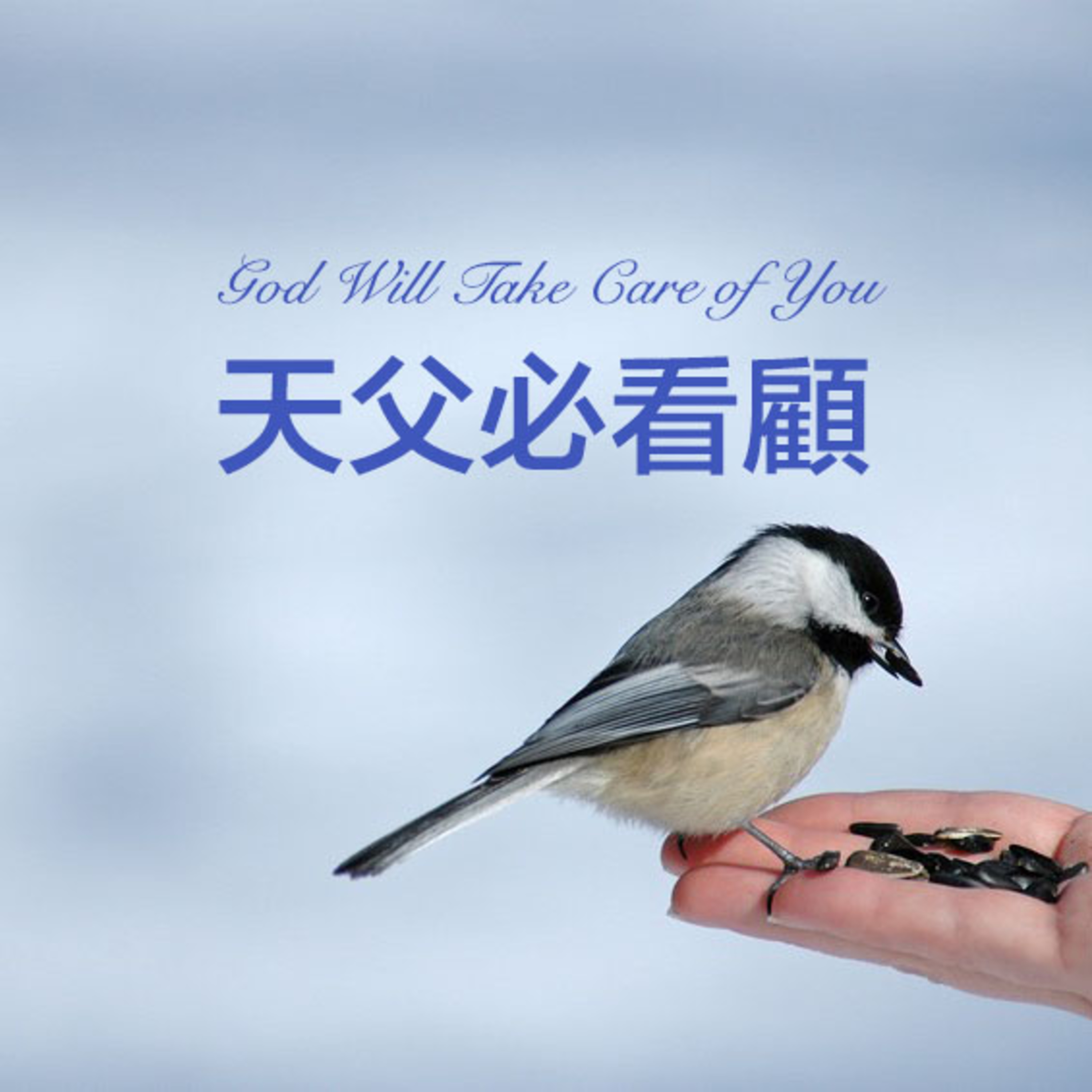 花園裡的光合進行曲