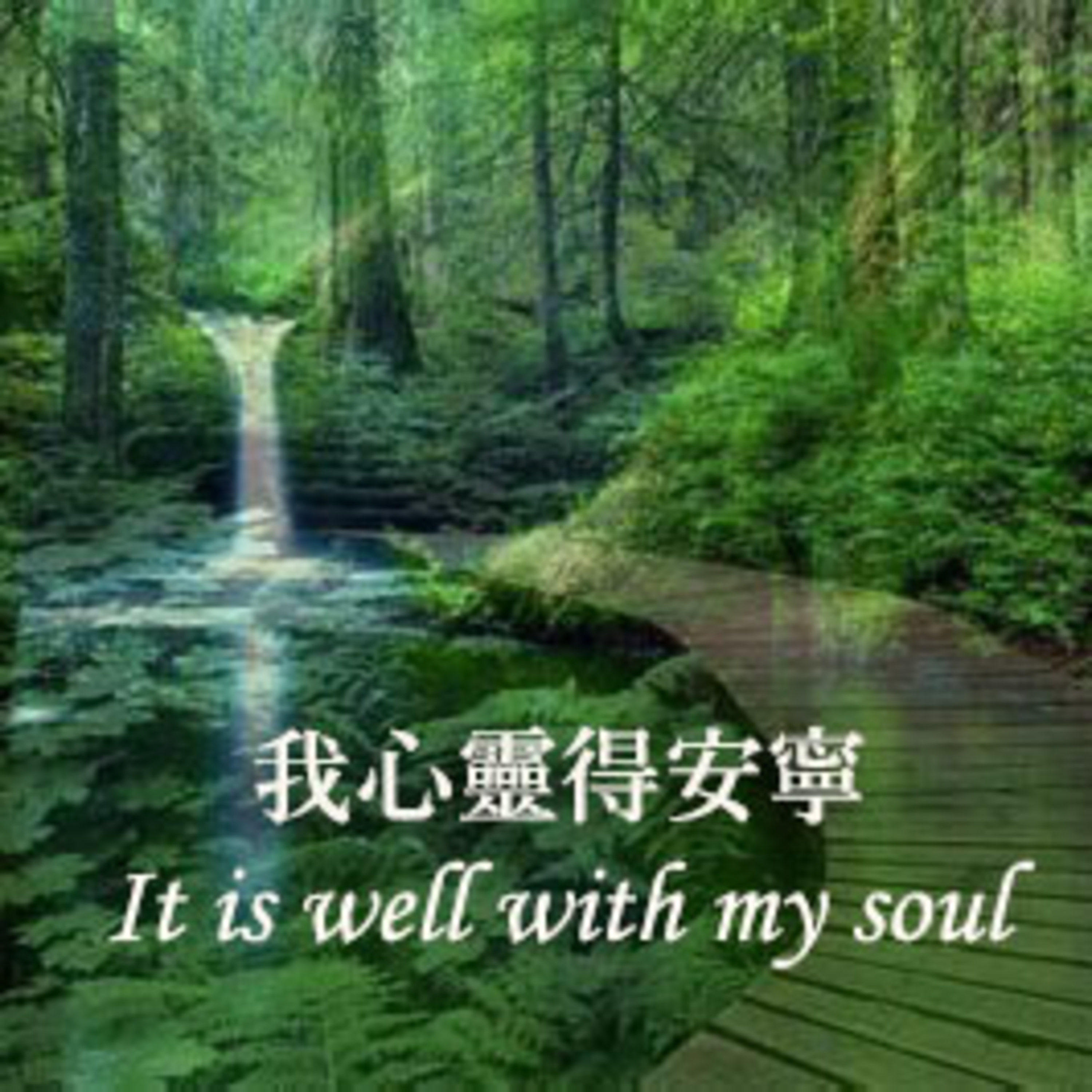 花園裡的光合進行曲