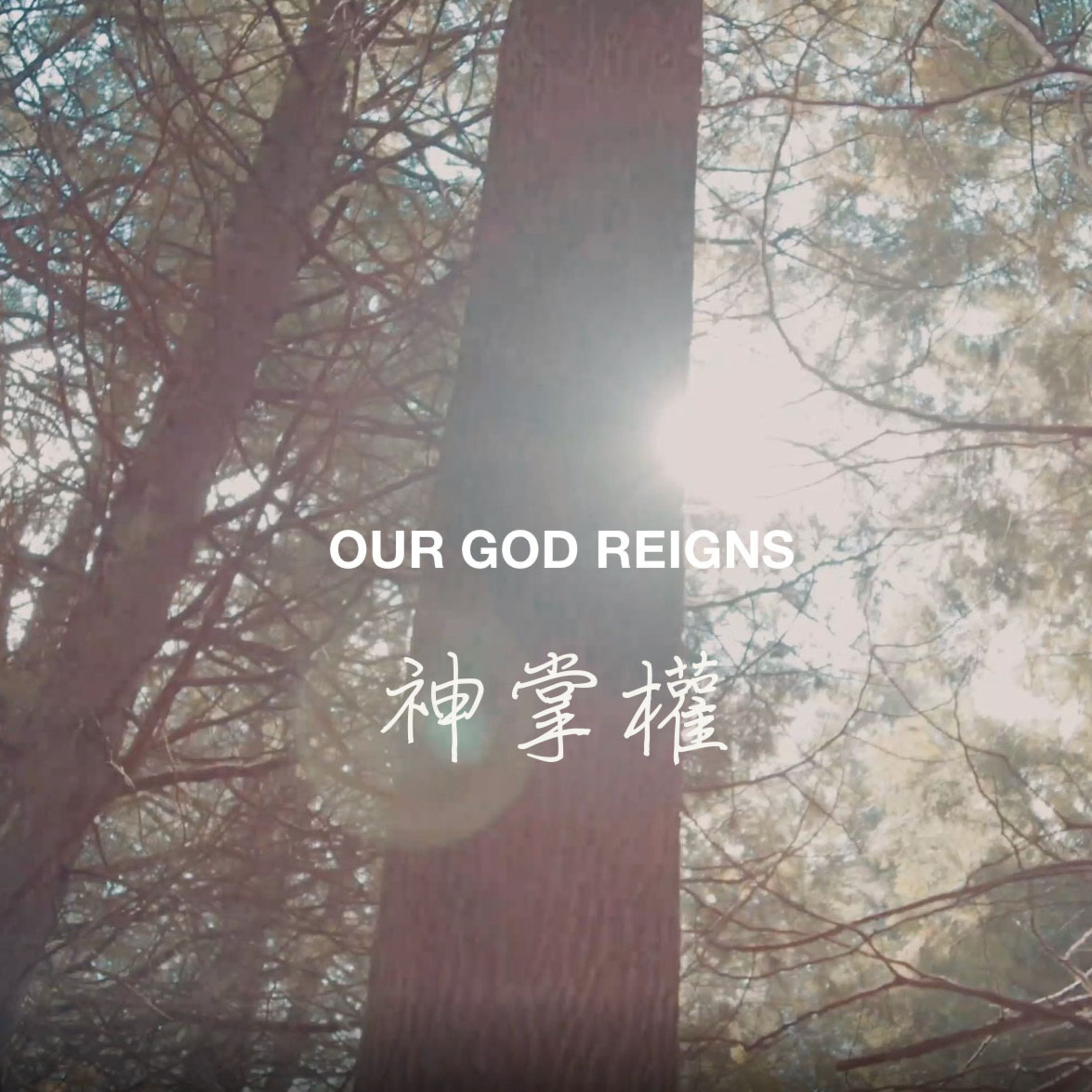 花園裡的光合進行曲