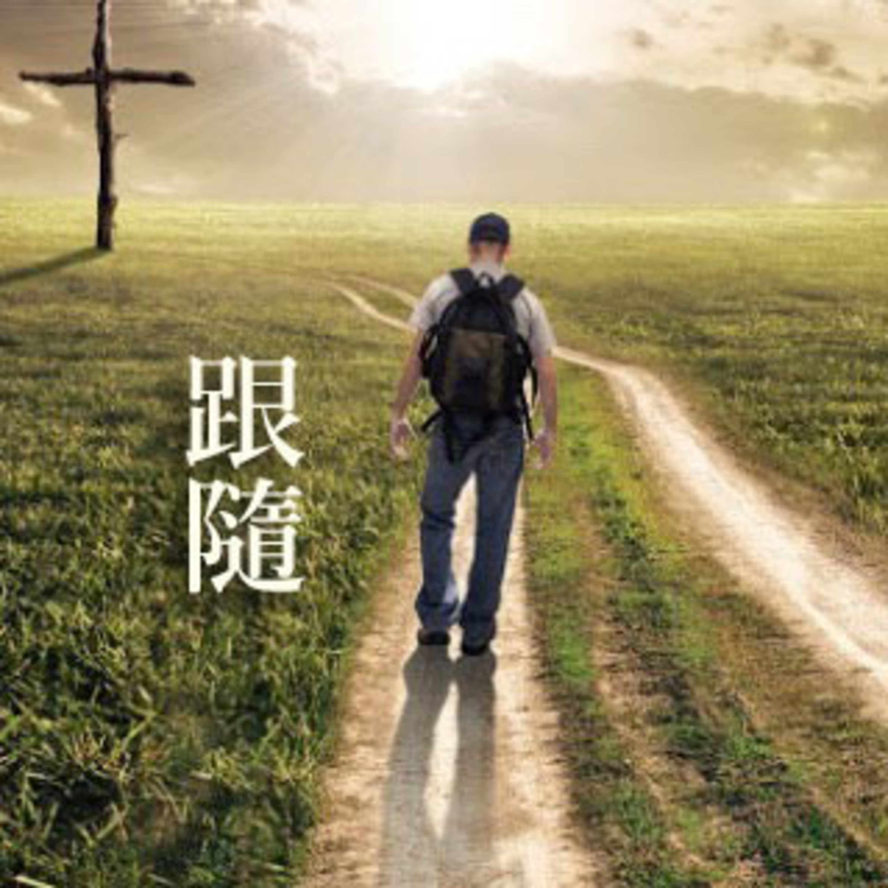 花園裡的光合進行曲
