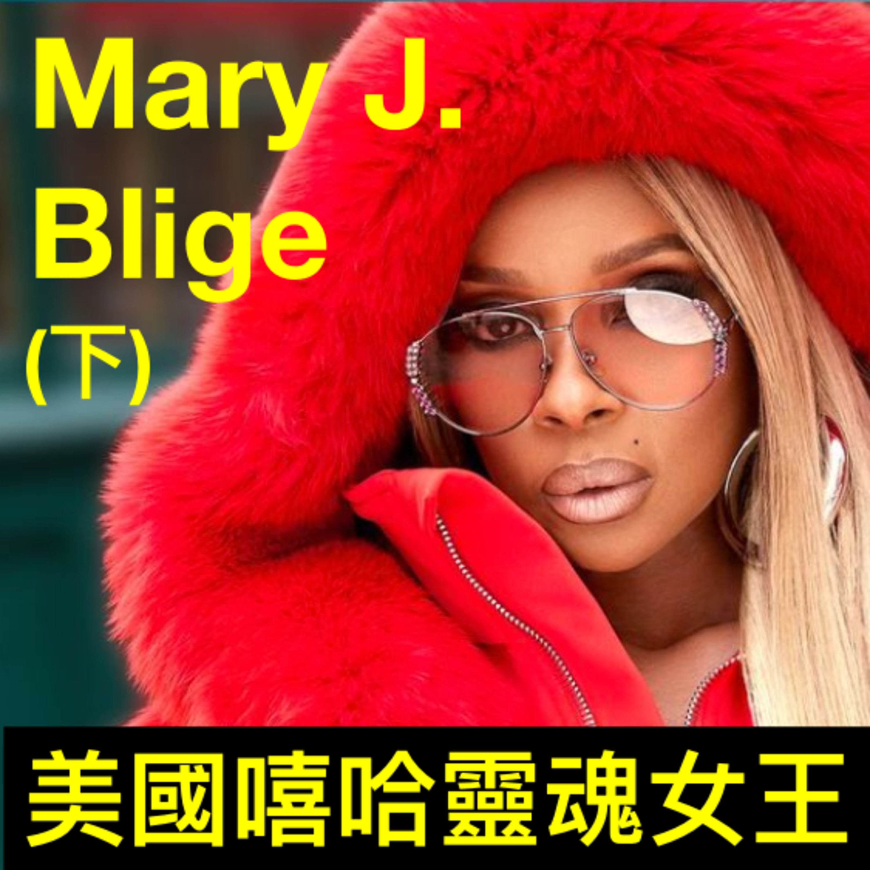 花園裡的光合進行曲