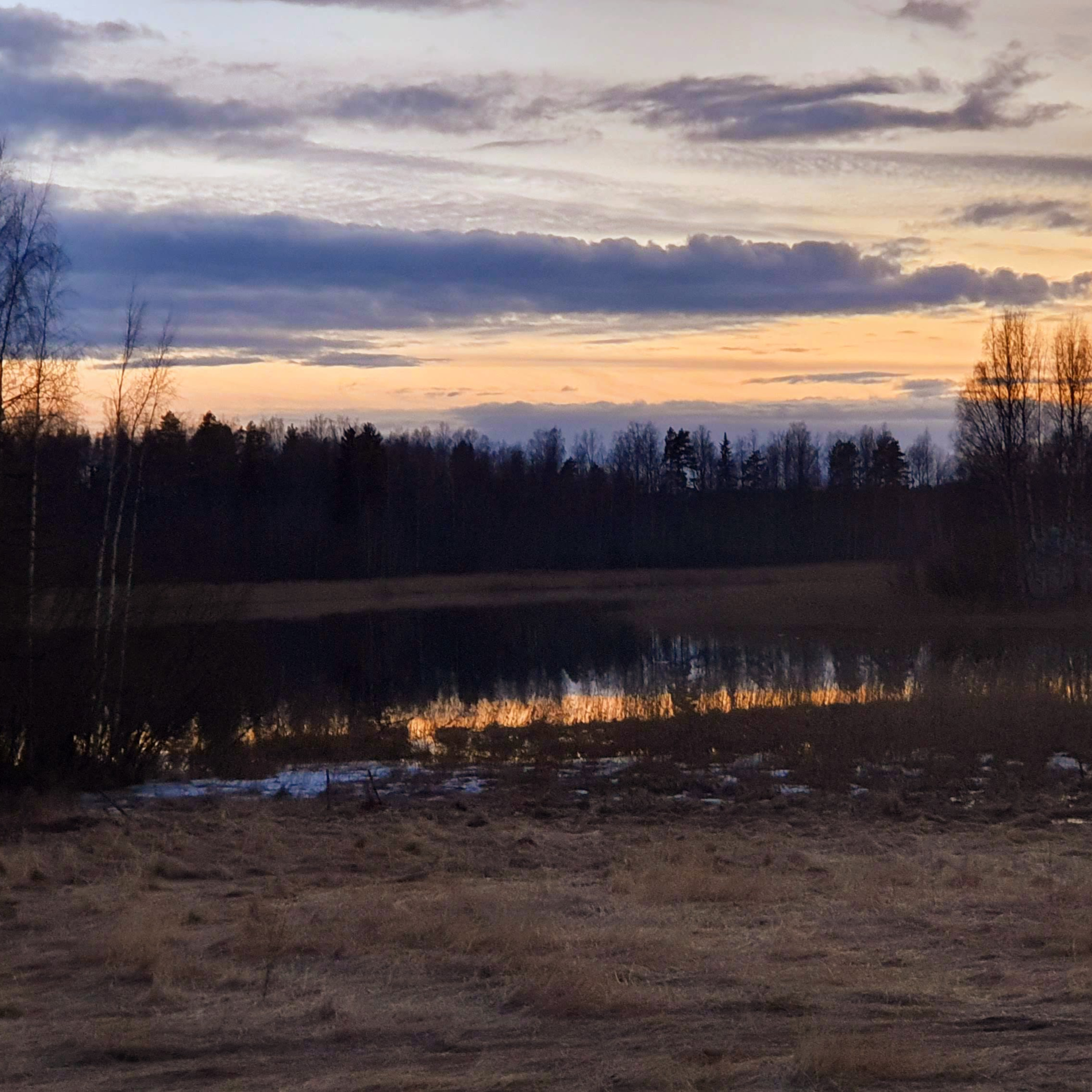 Nature Sound World - Luontoäänien maailma