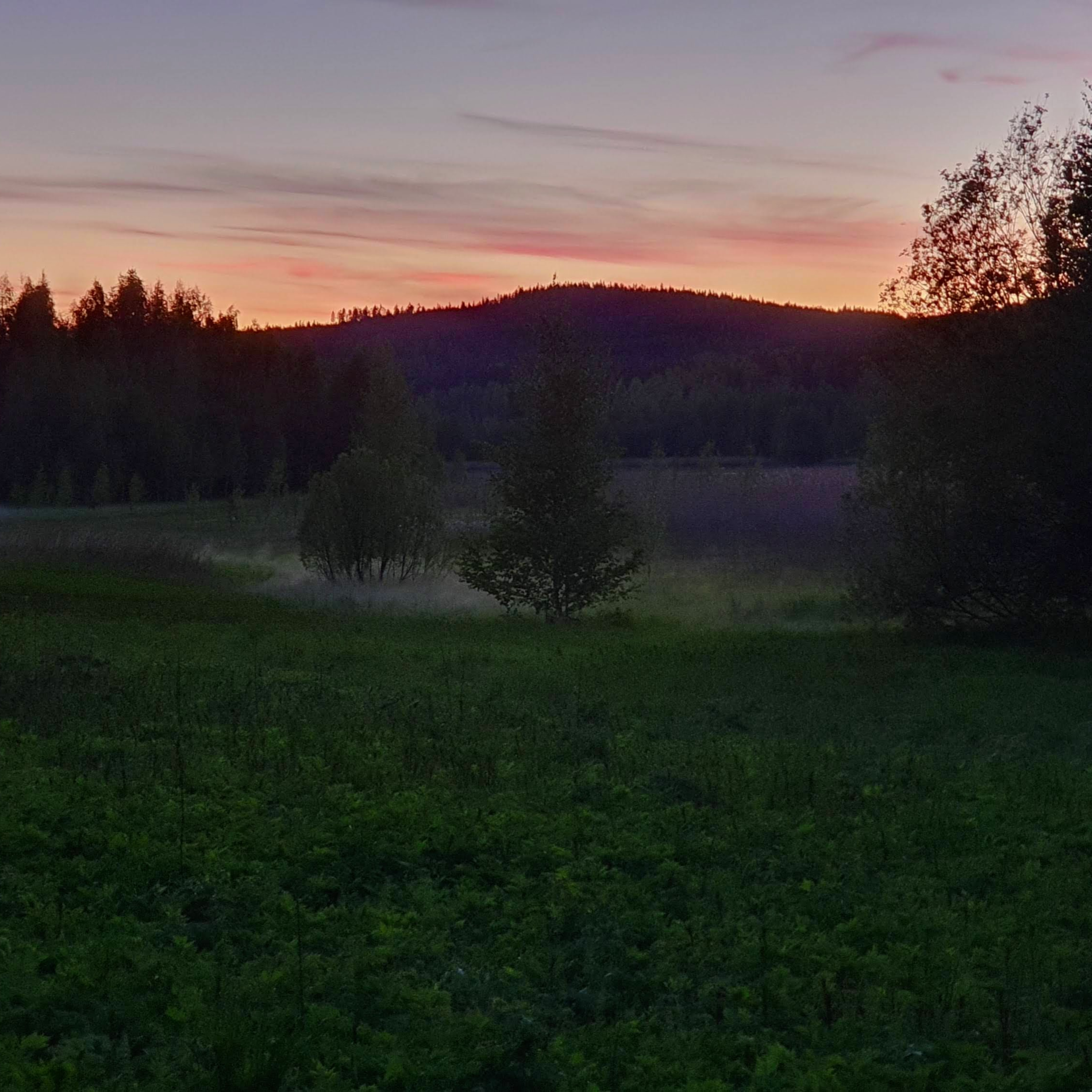 Nature Sound World - Luontoäänien maailma