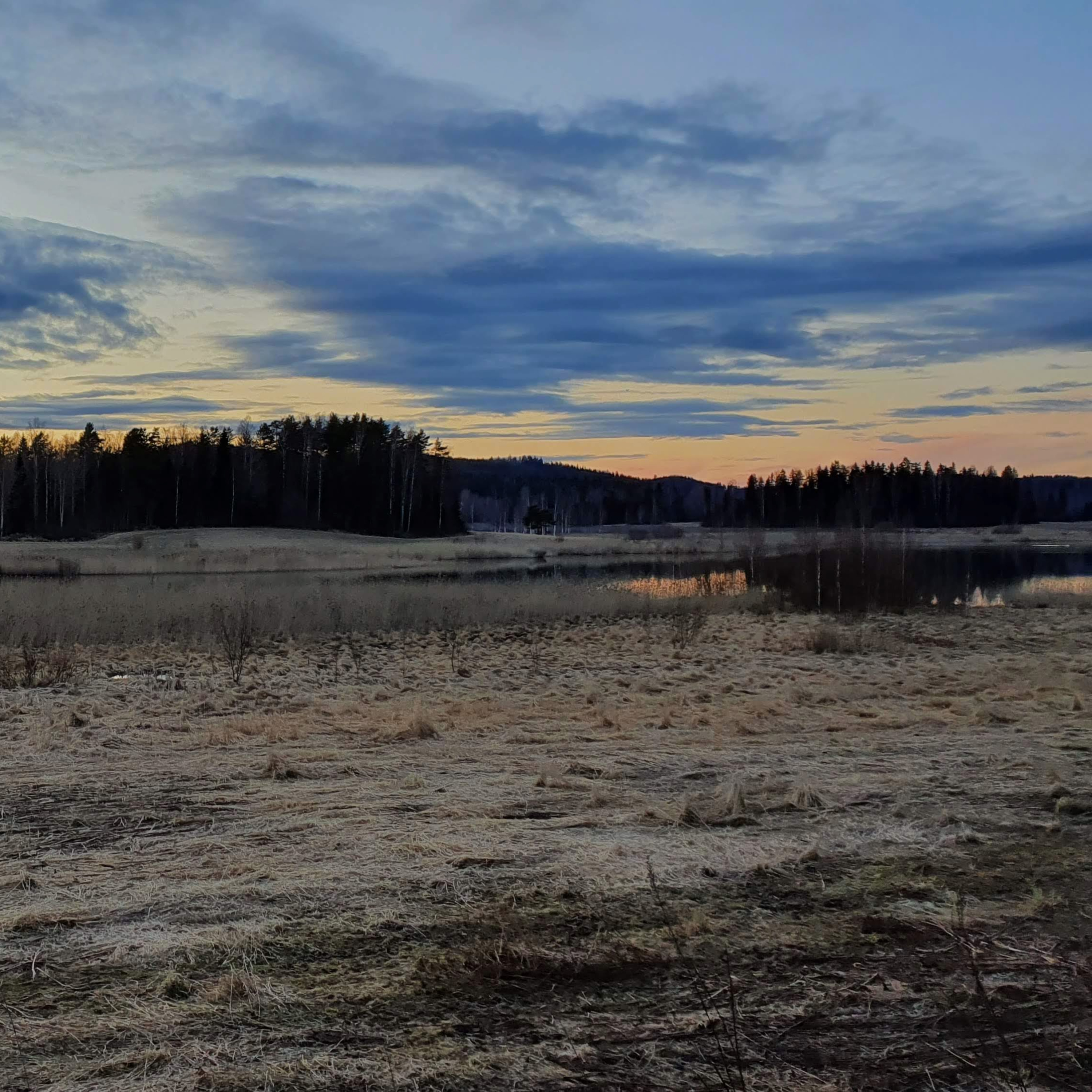 Nature Sound World - Luontoäänien maailma
