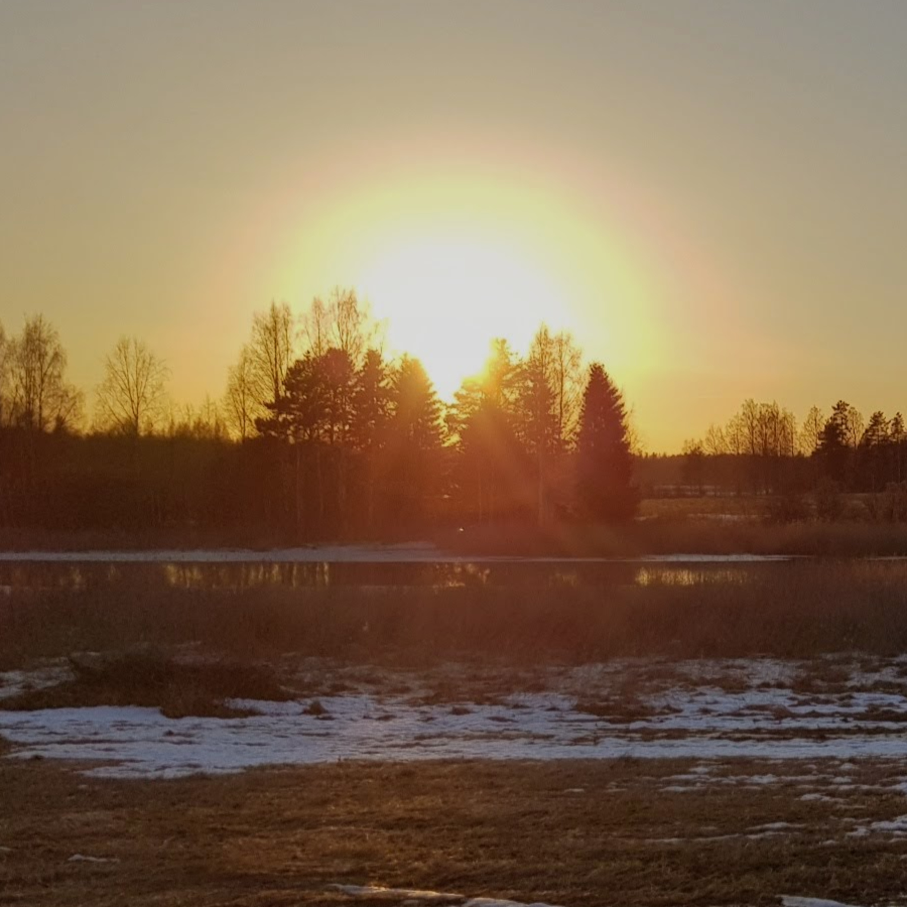 Nature Sound World - Luontoäänien maailma