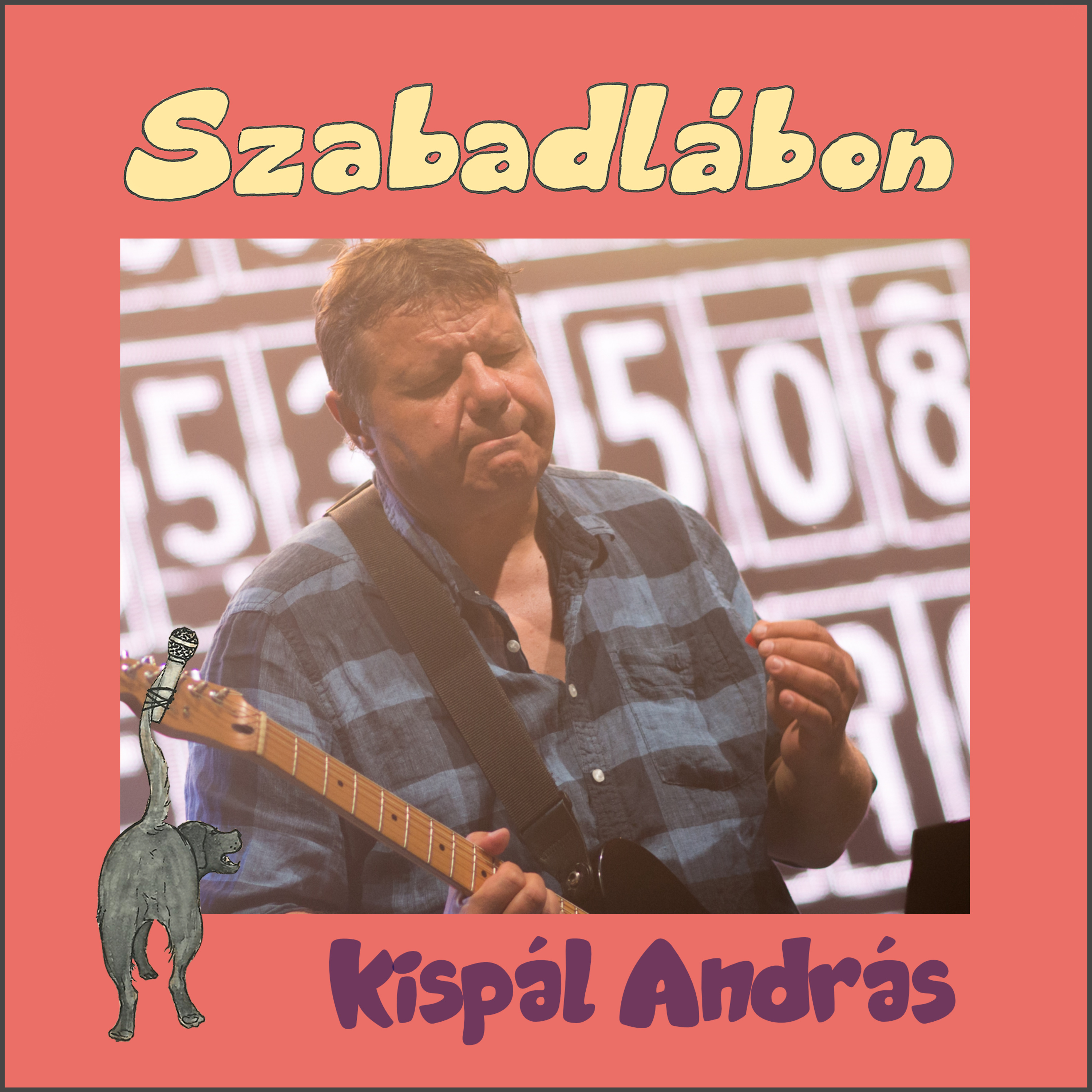 Szabadlábon - zenészséták Egyedi Péterrel