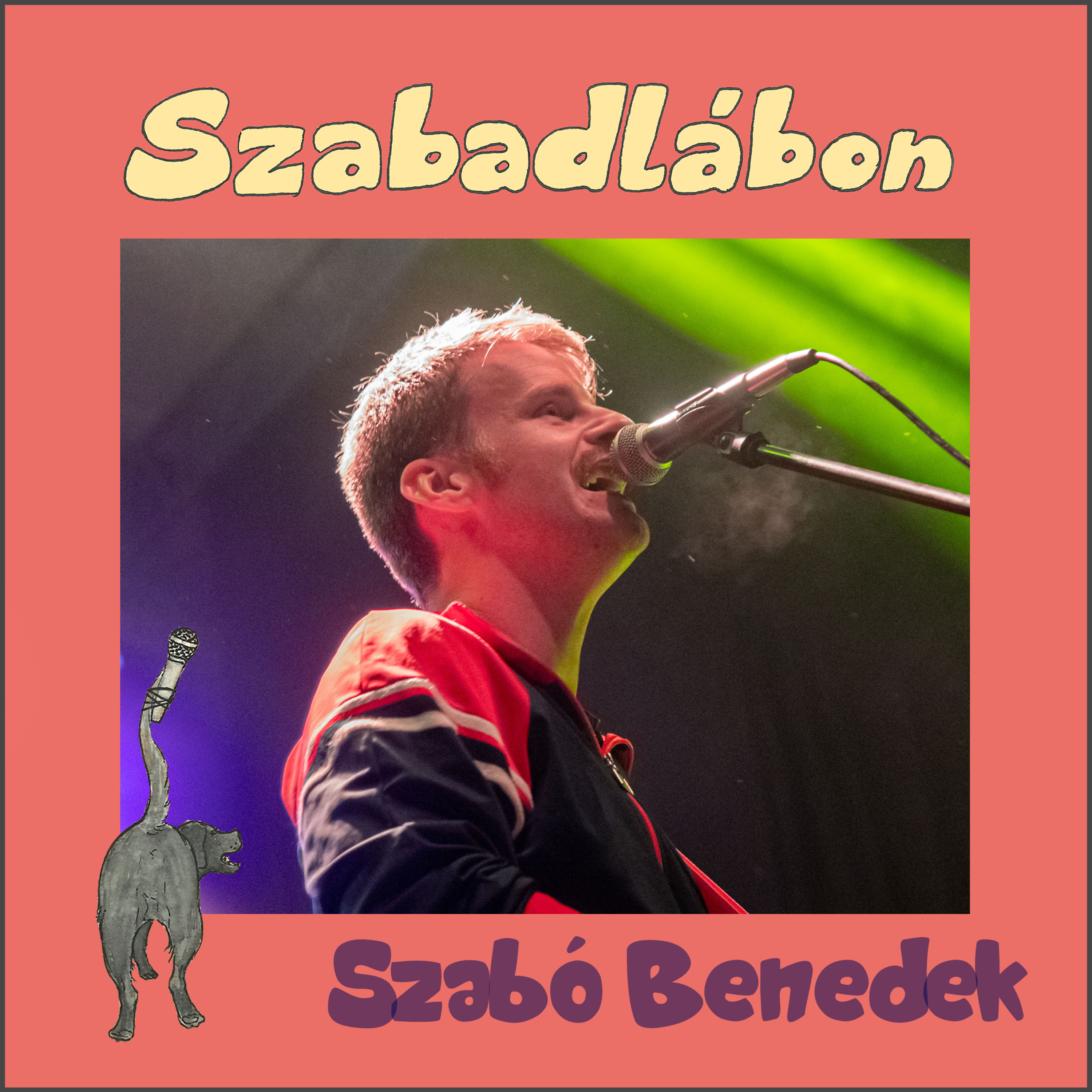 Szabadlábon - zenészséták Egyedi Péterrel