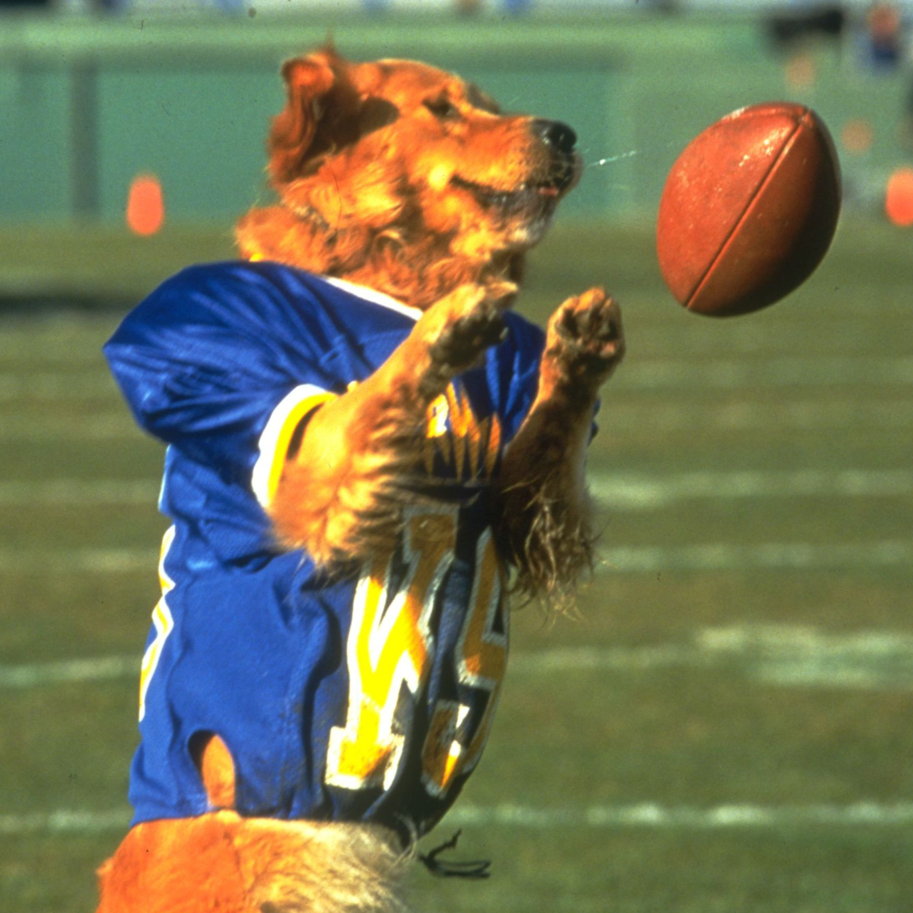 On Air Buds