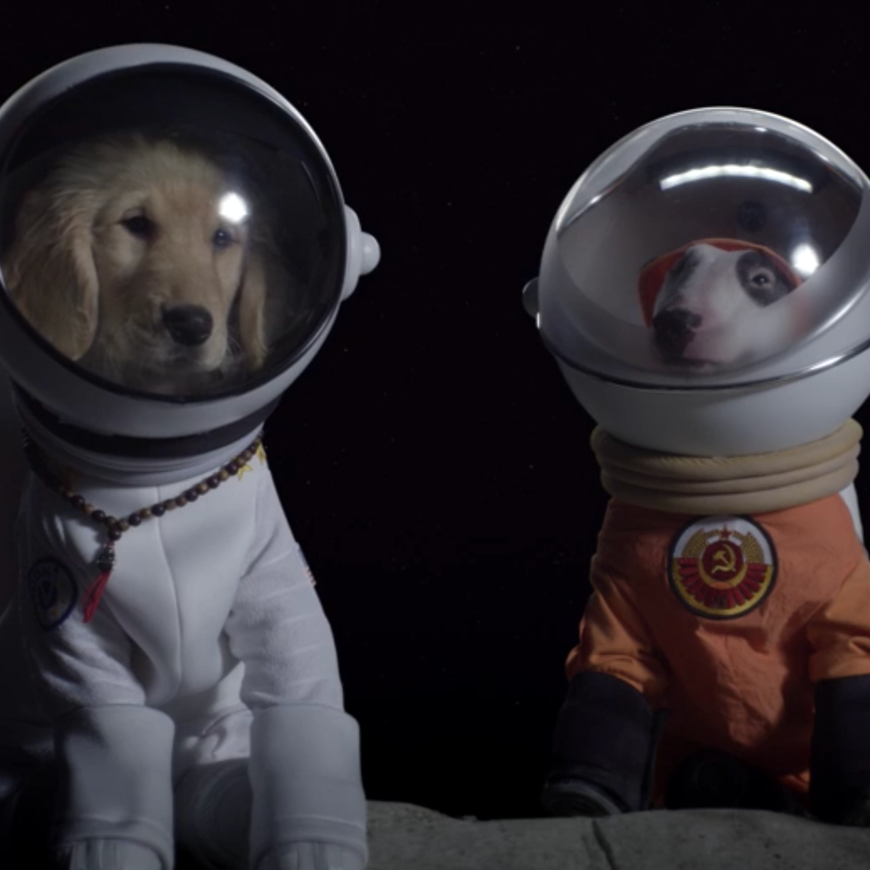 On Air Buds