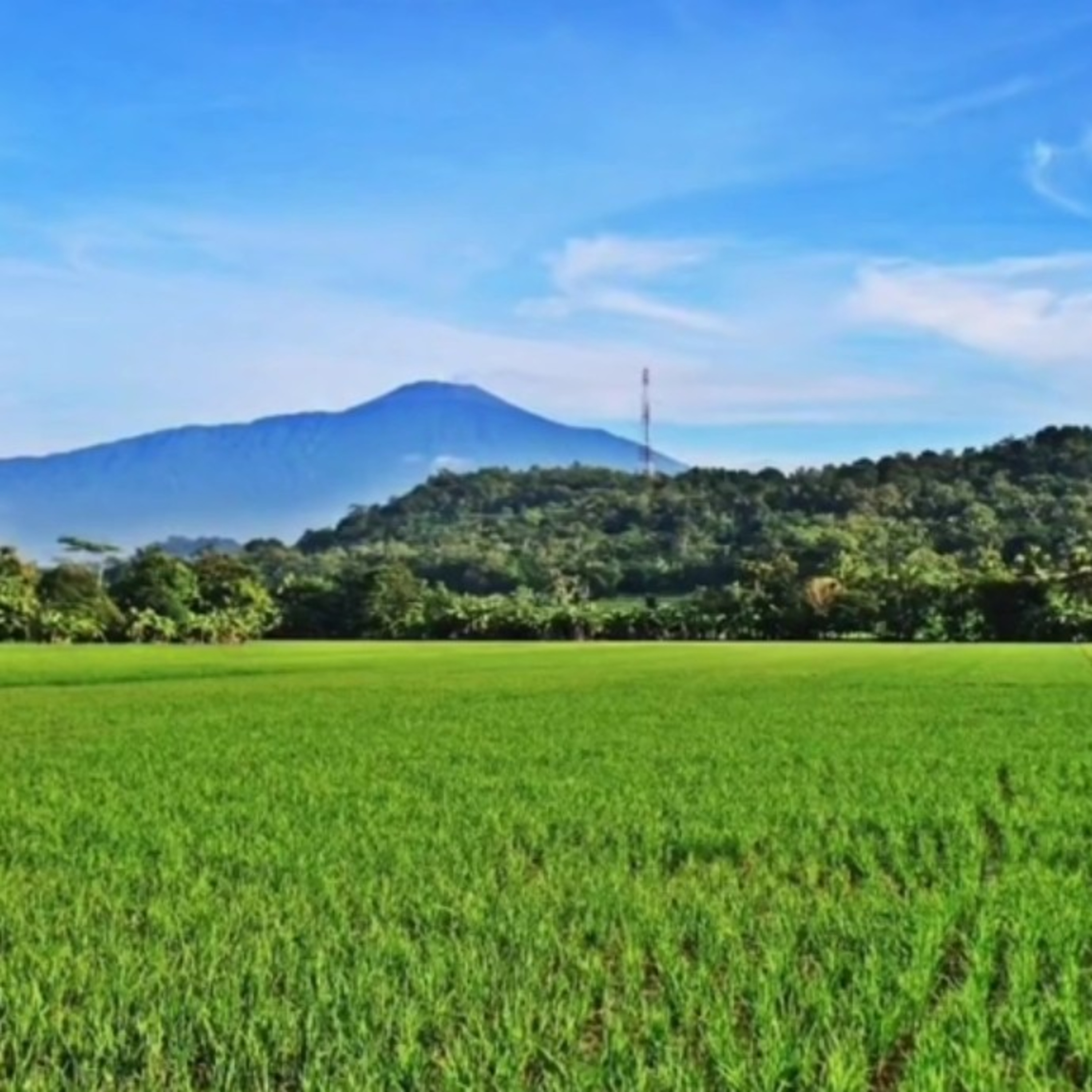 GRIYA FM