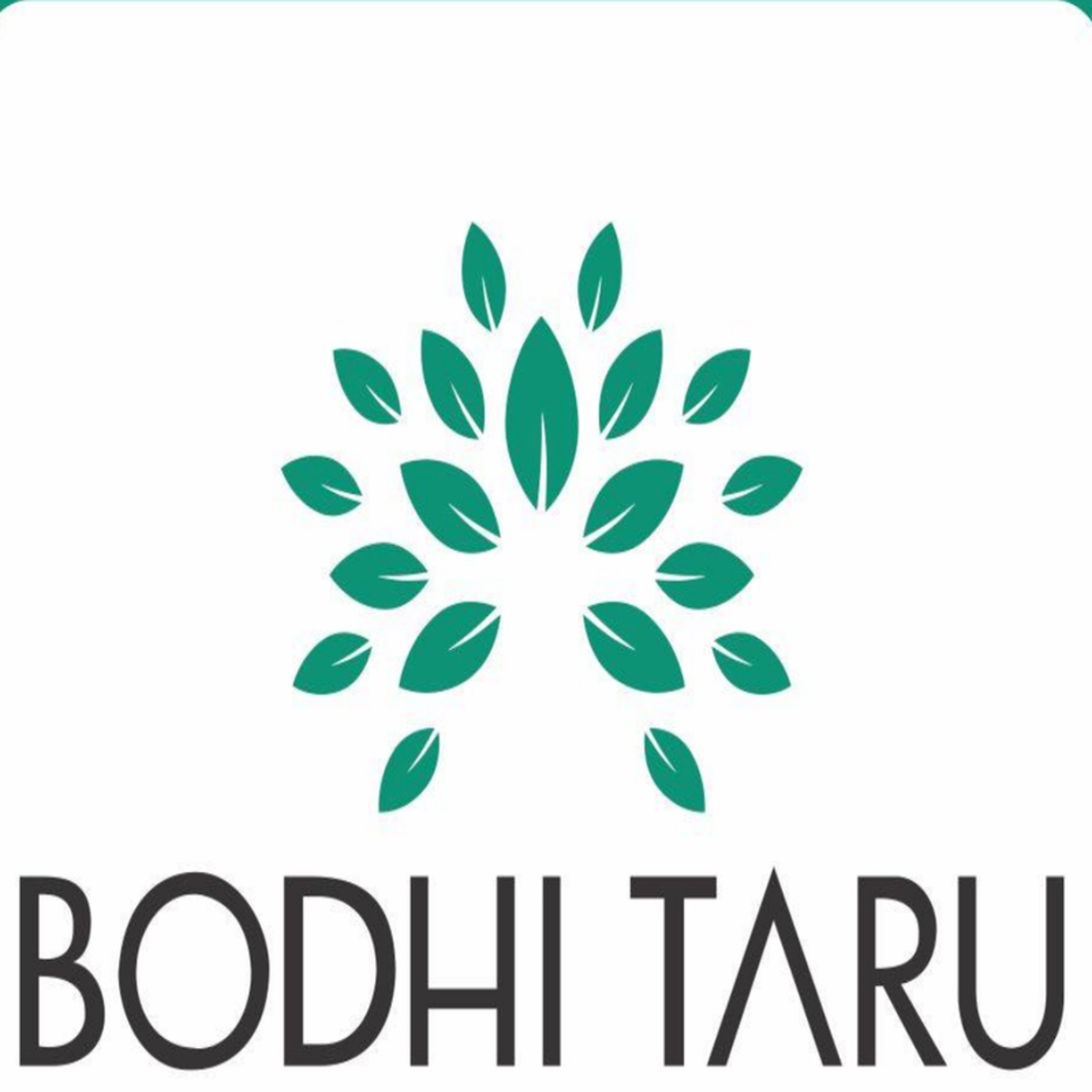 il RITORNO di BODHITARU puntata 2 episode artwork