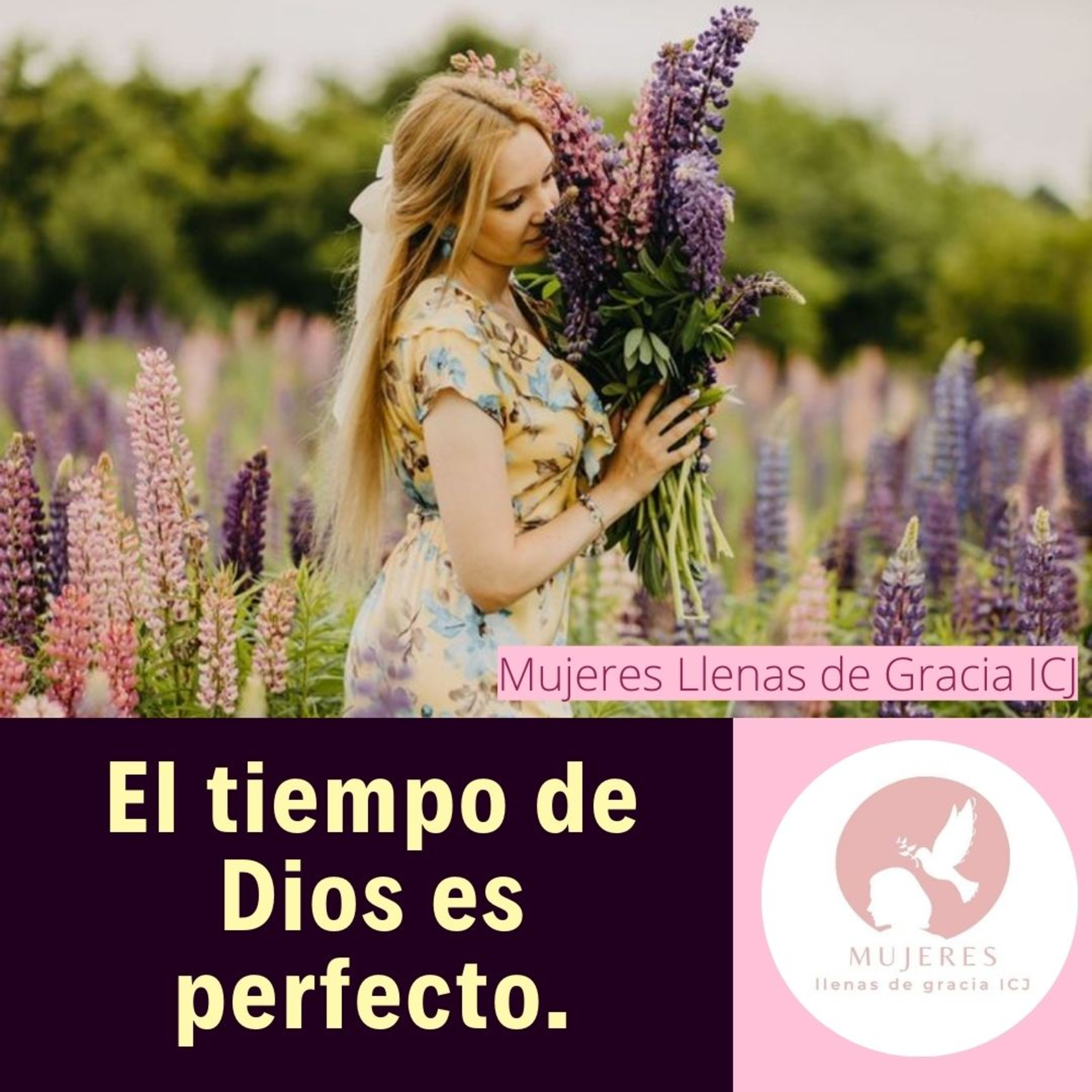 El tiempo de Dios es perfecto. episode artwork