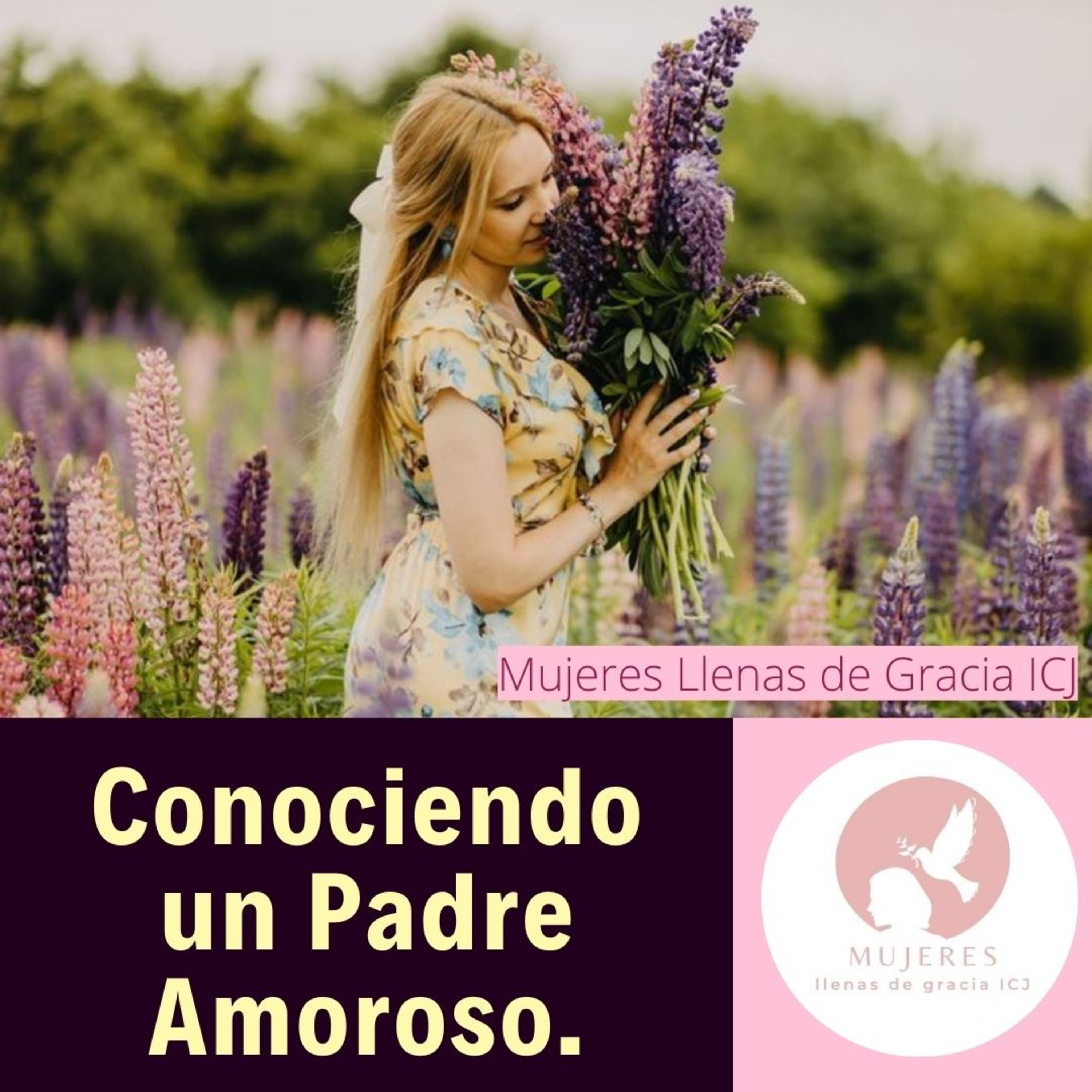Conociendo a un Padre Amoroso/ Vida Diaria. episode artwork