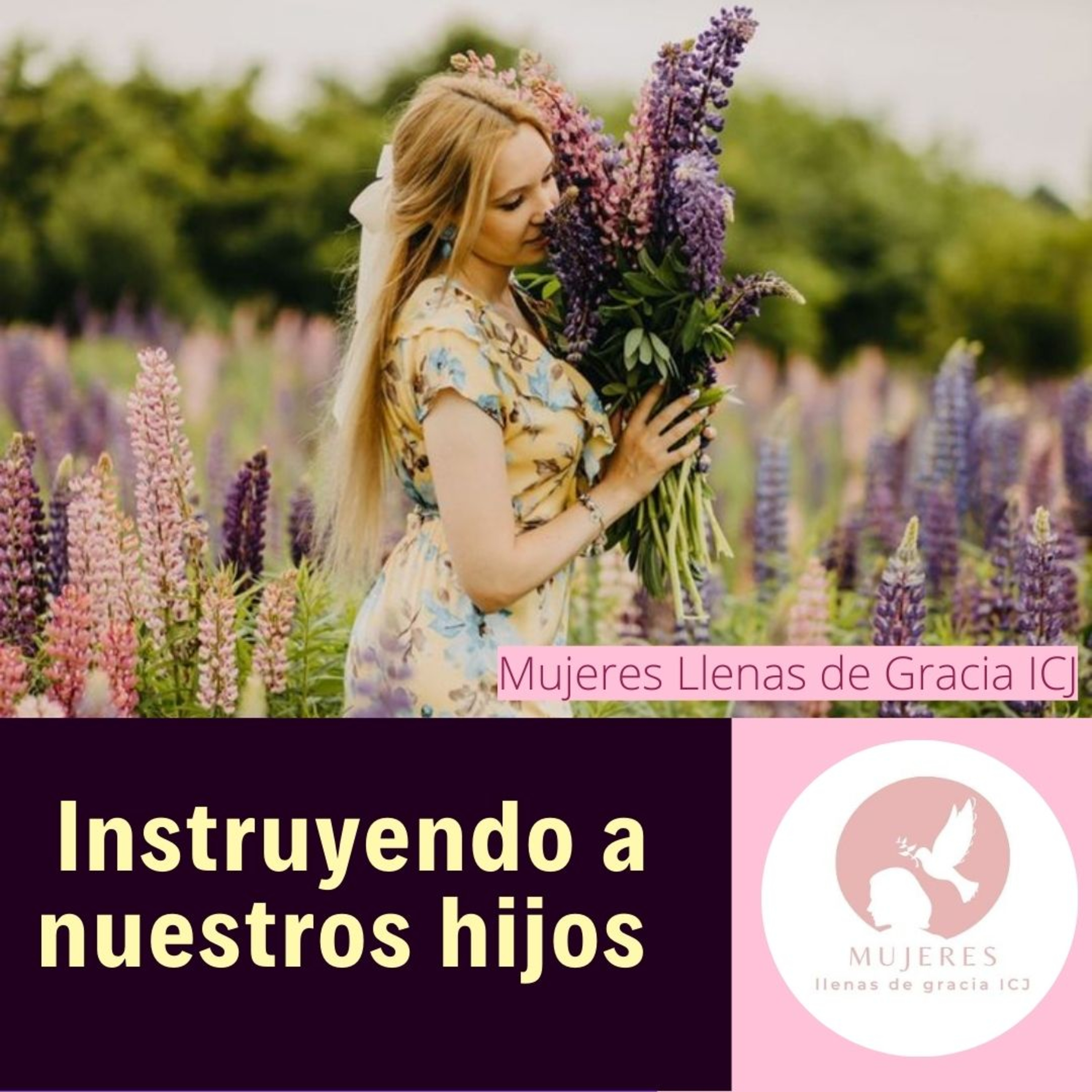 Instruyendo a nuestros hijos. / Vida Diaria episode artwork
