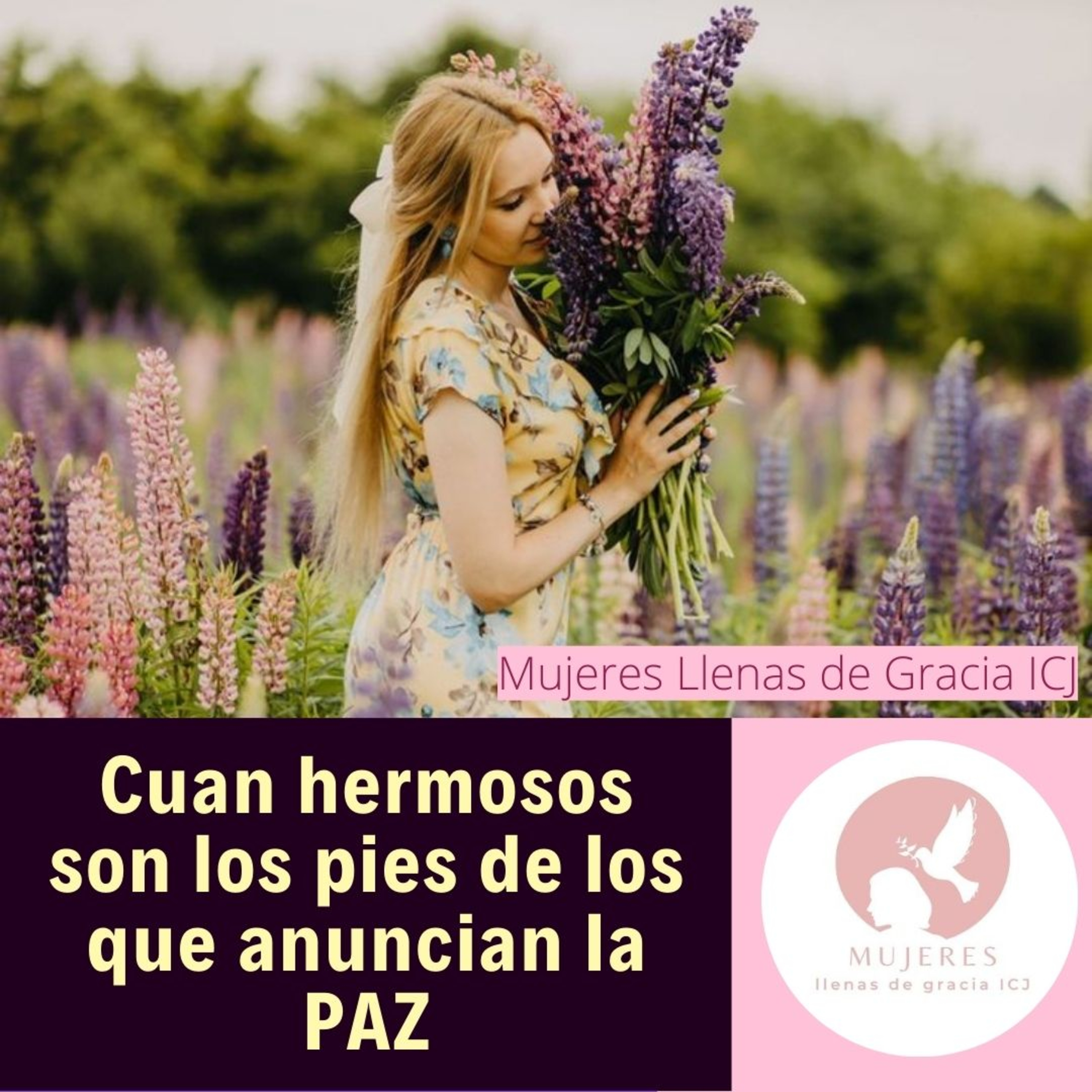 Cuan hermosos son los pies de los que anuncian la Paz./ Vida Diaria episode artwork