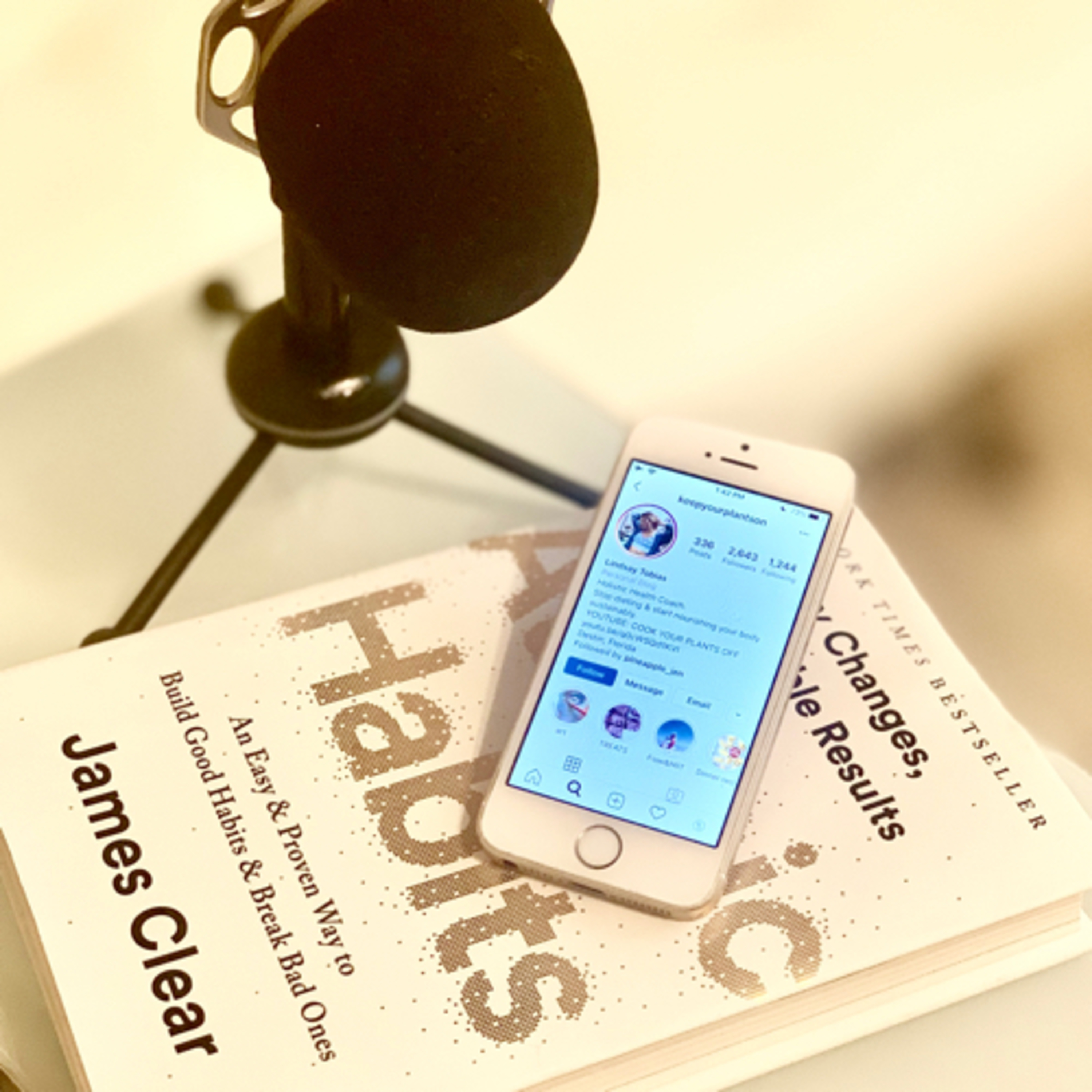 32 - Interview with Lindsay Tobias