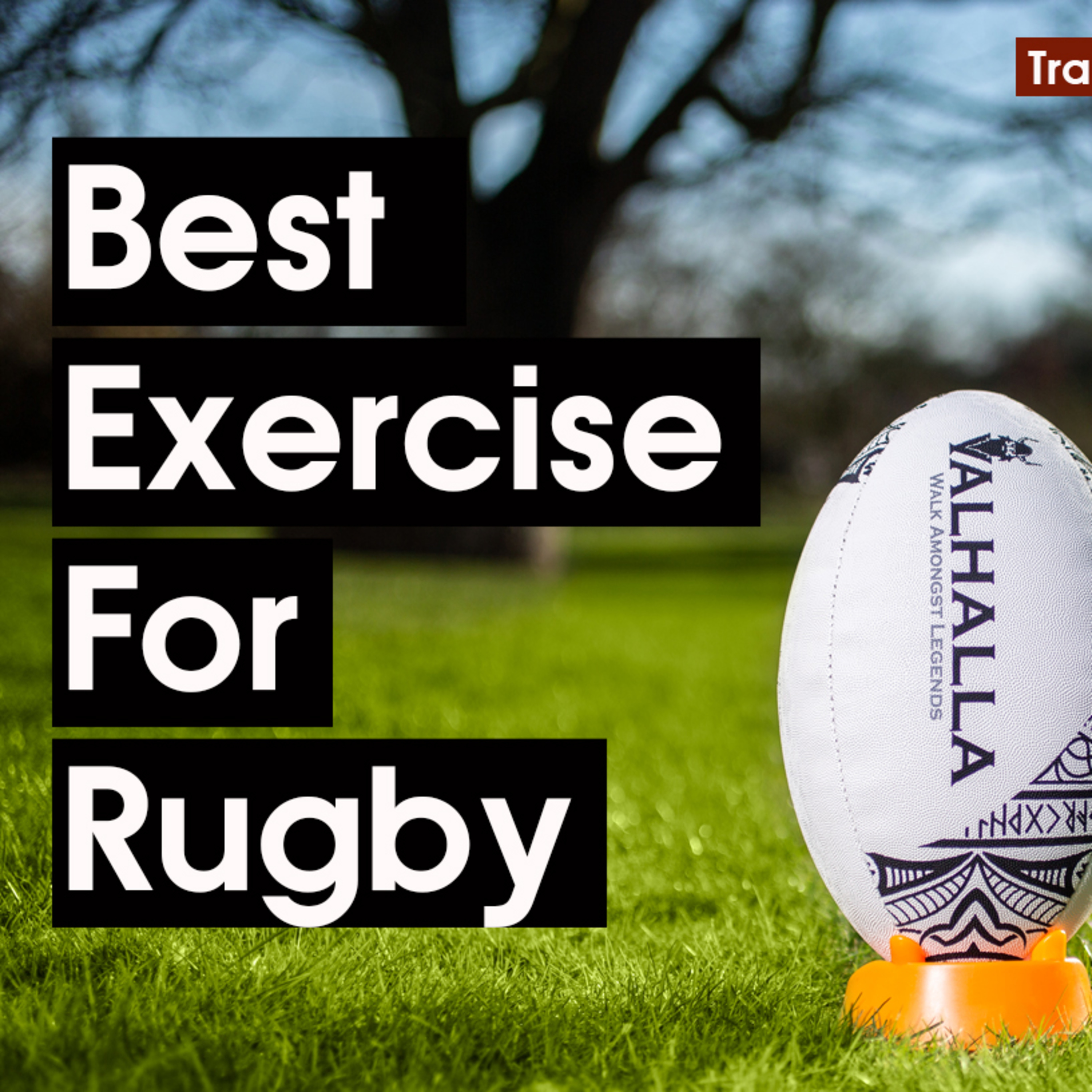 Best Exercise for Rugby - TheValhallaWay - Trainer Edition #1