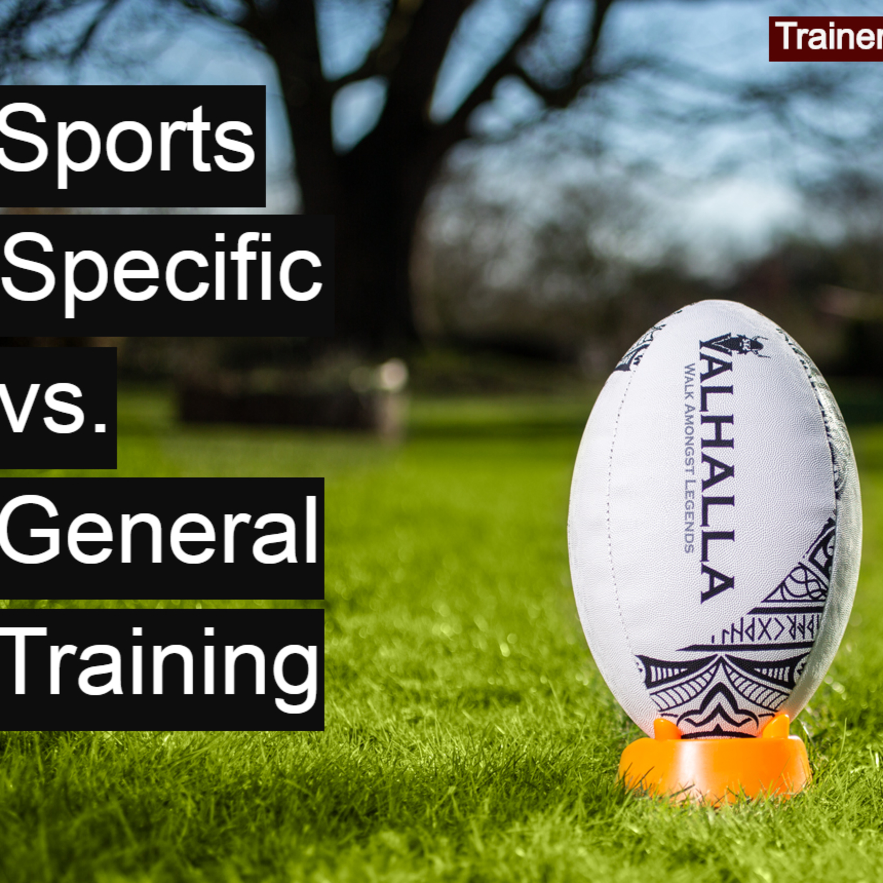 Sports Specific vs General Training - TheValhallaWay - Trainer Edition #4