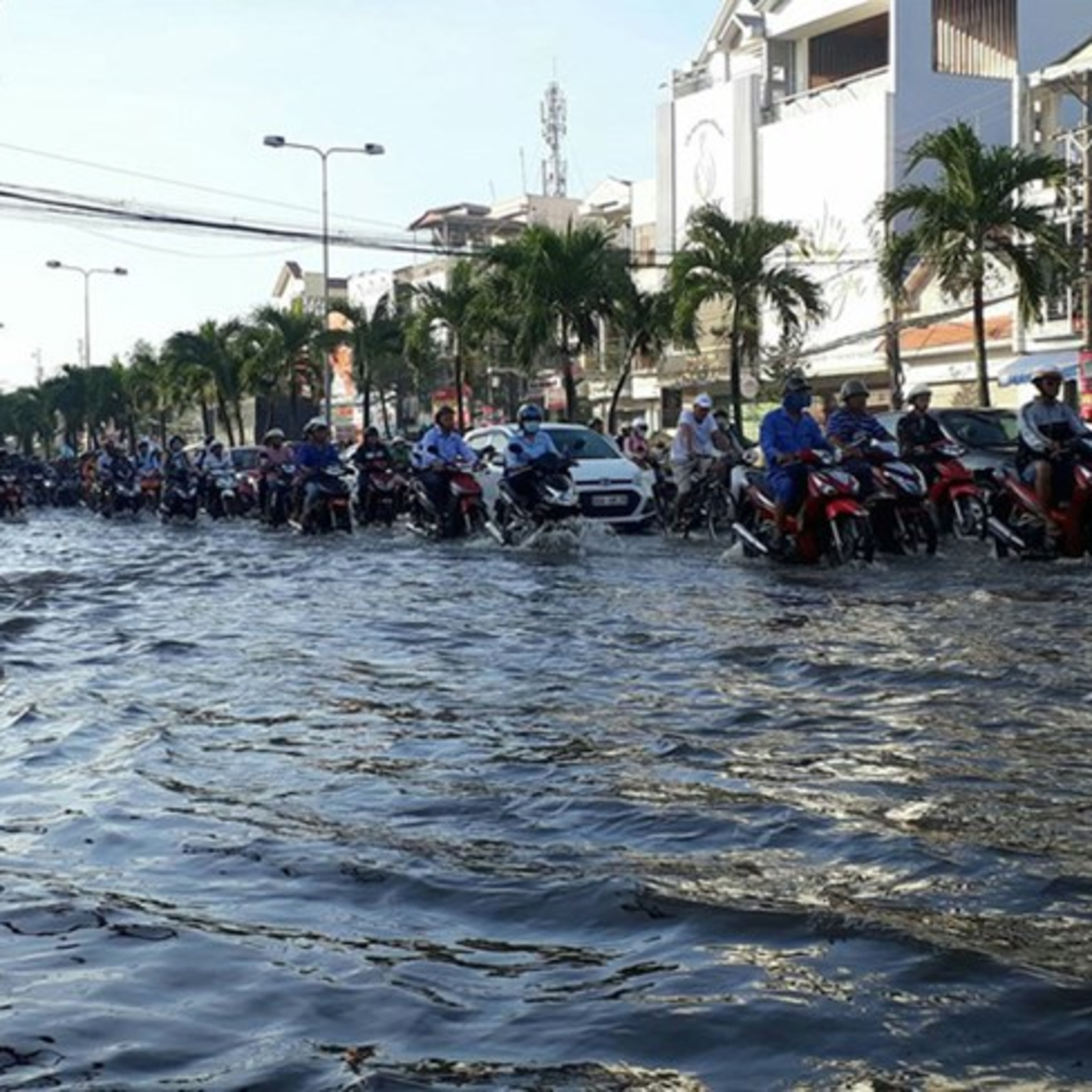 VOV - Thời sự 6h (7/11/2021)