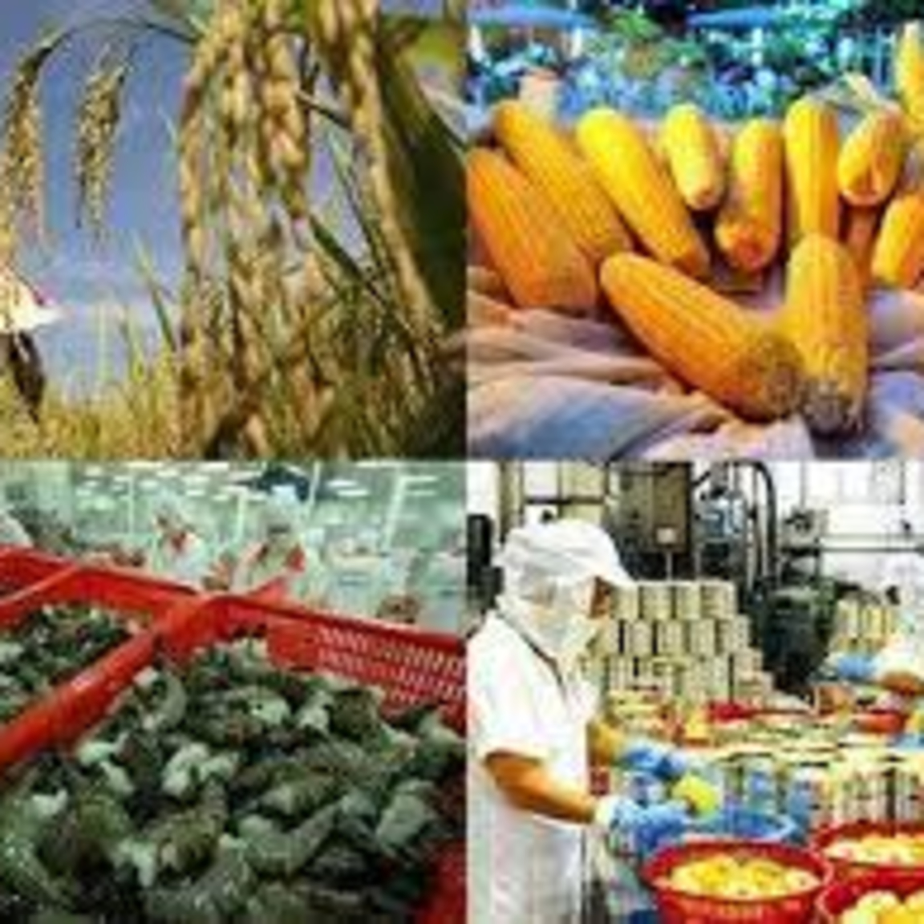 VOV - Thời sự 6h (7/12/2021)