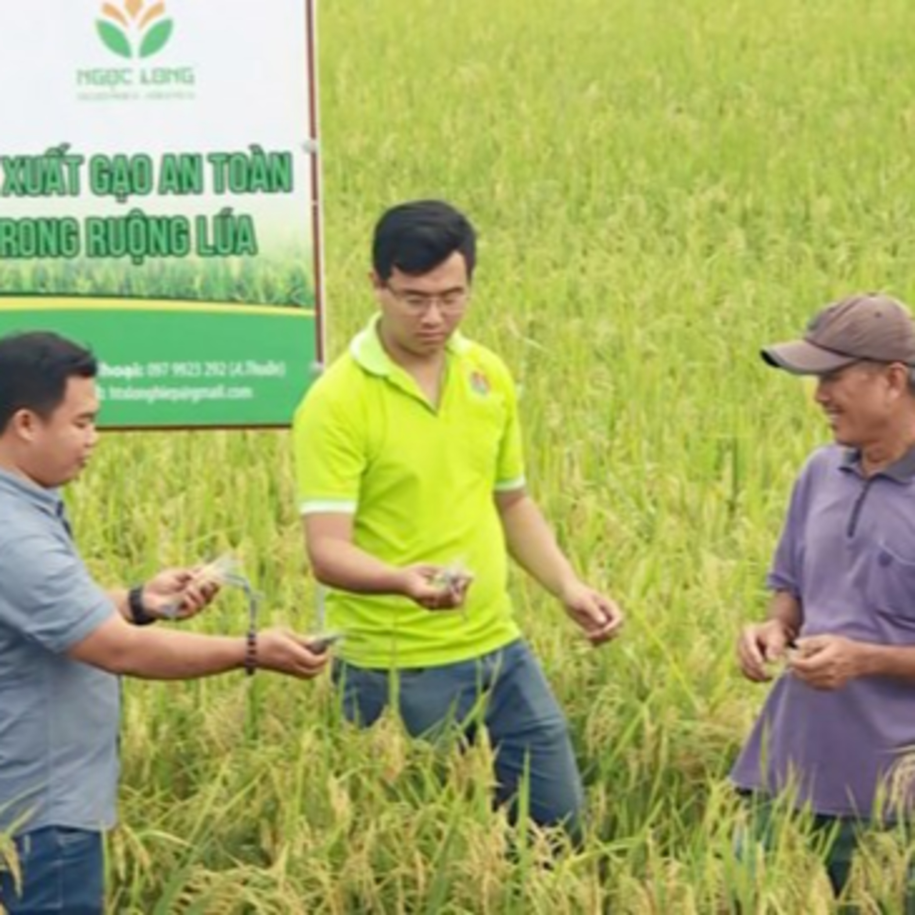 VOV - Thời sự 12h (27/1/2022)