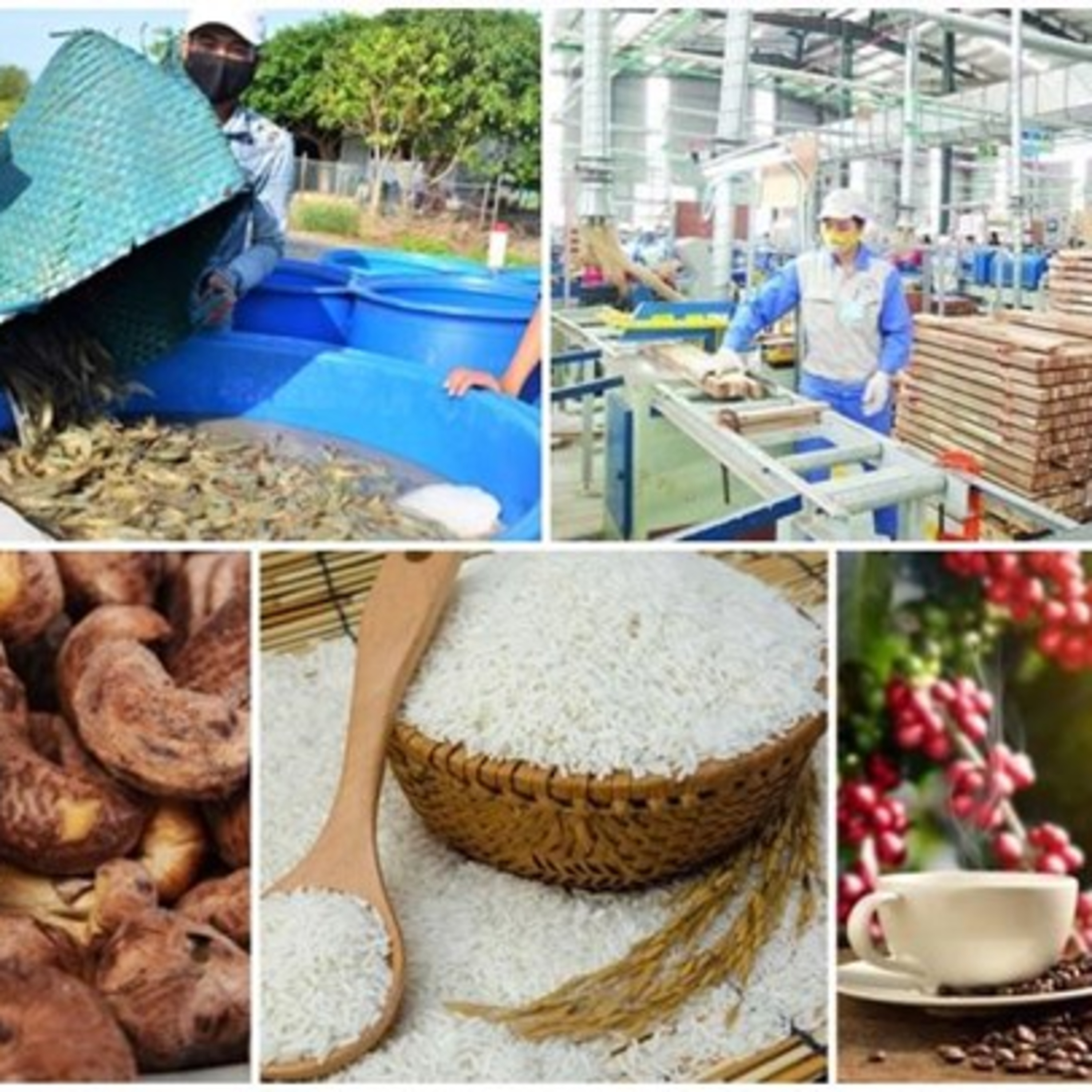 Thời sự 18h (4/5/2022)