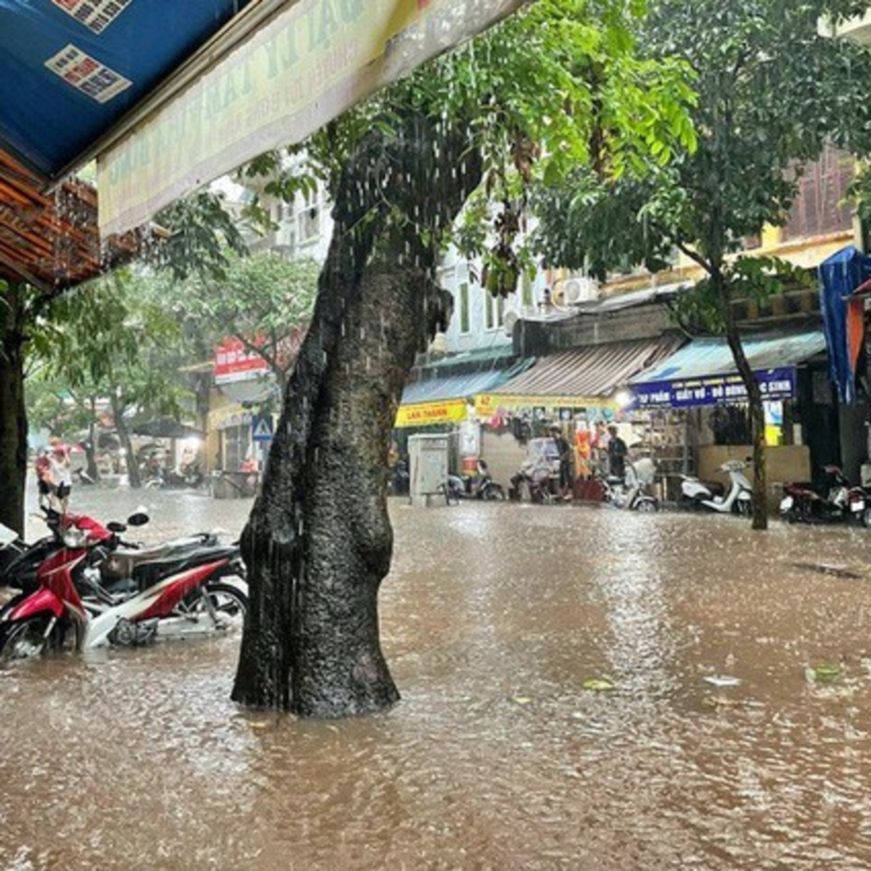 Thời sự 18h (30/5/2022)