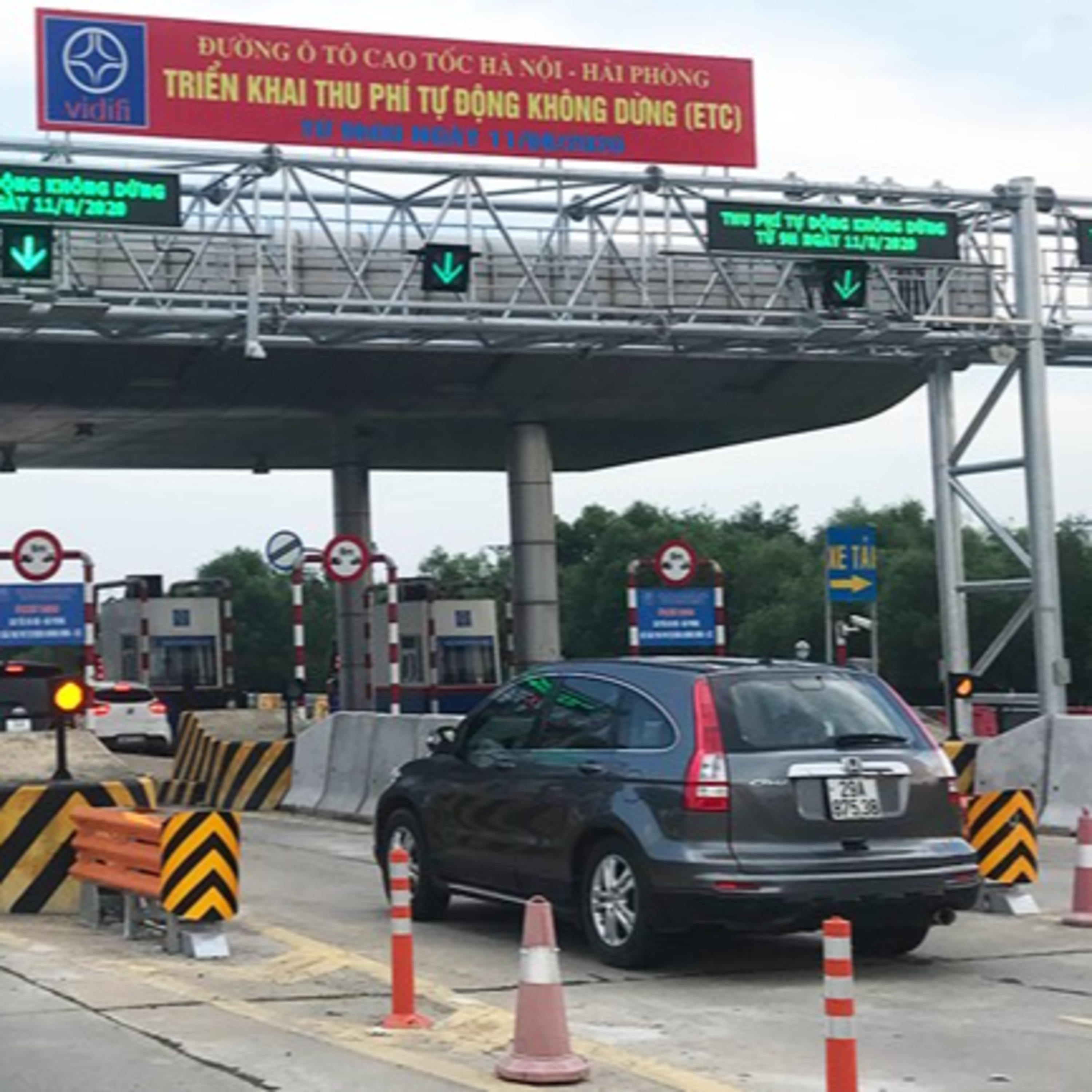 Thời sự 6h (1/6/2022)