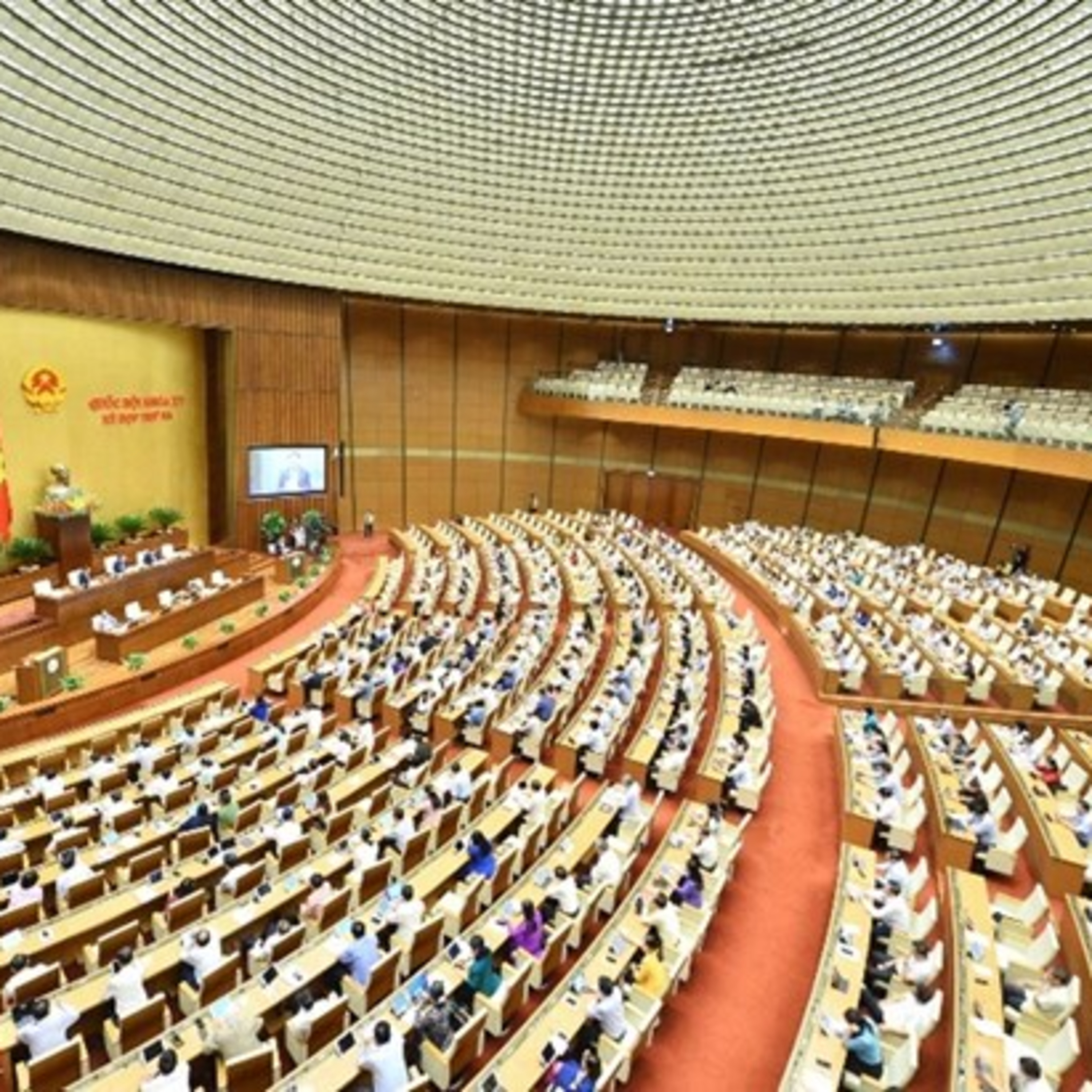 Thời sự 6h (3/6/2022)