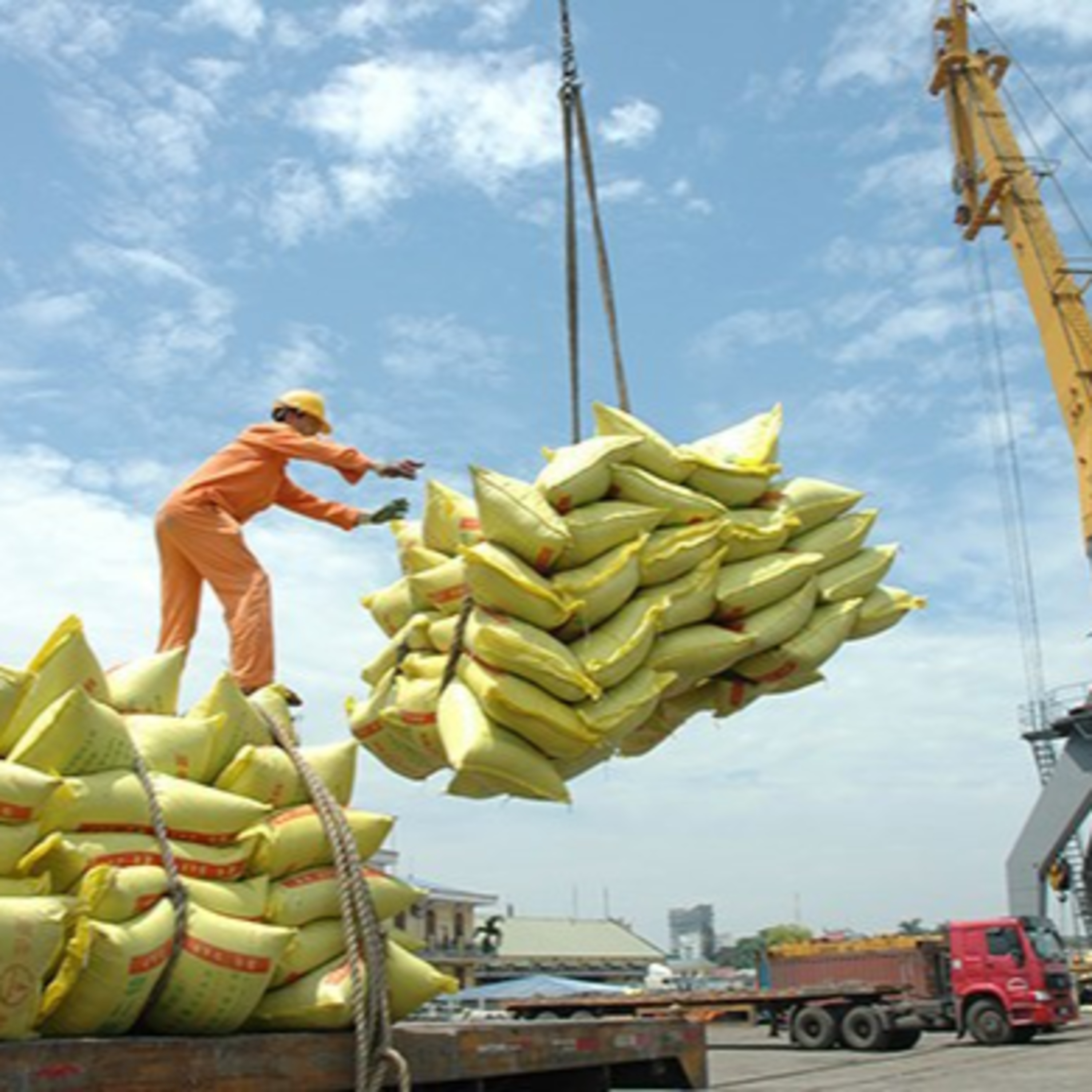 Thời sự 18h (7/8/2022)