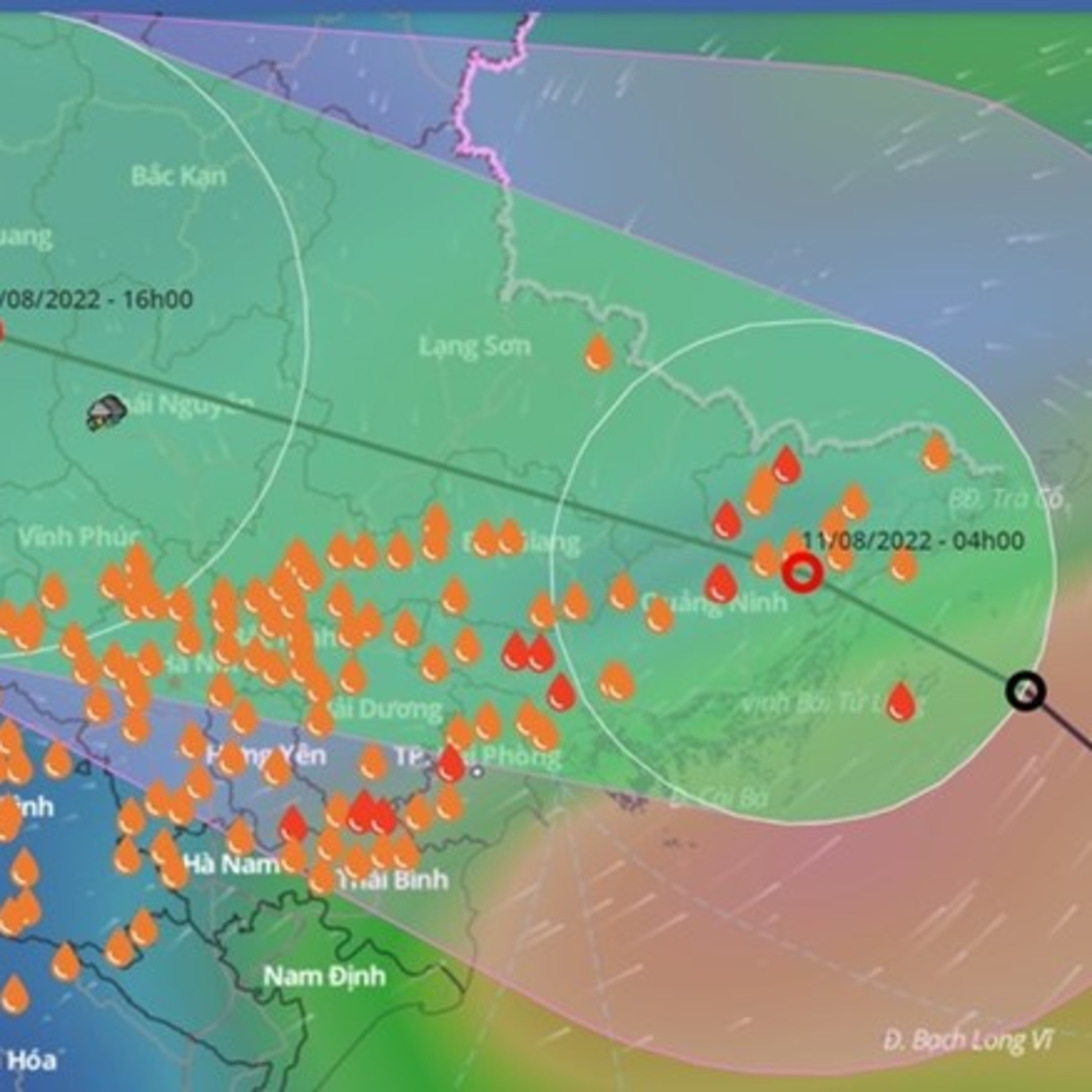 Thời sự 6h (11/8/2022)