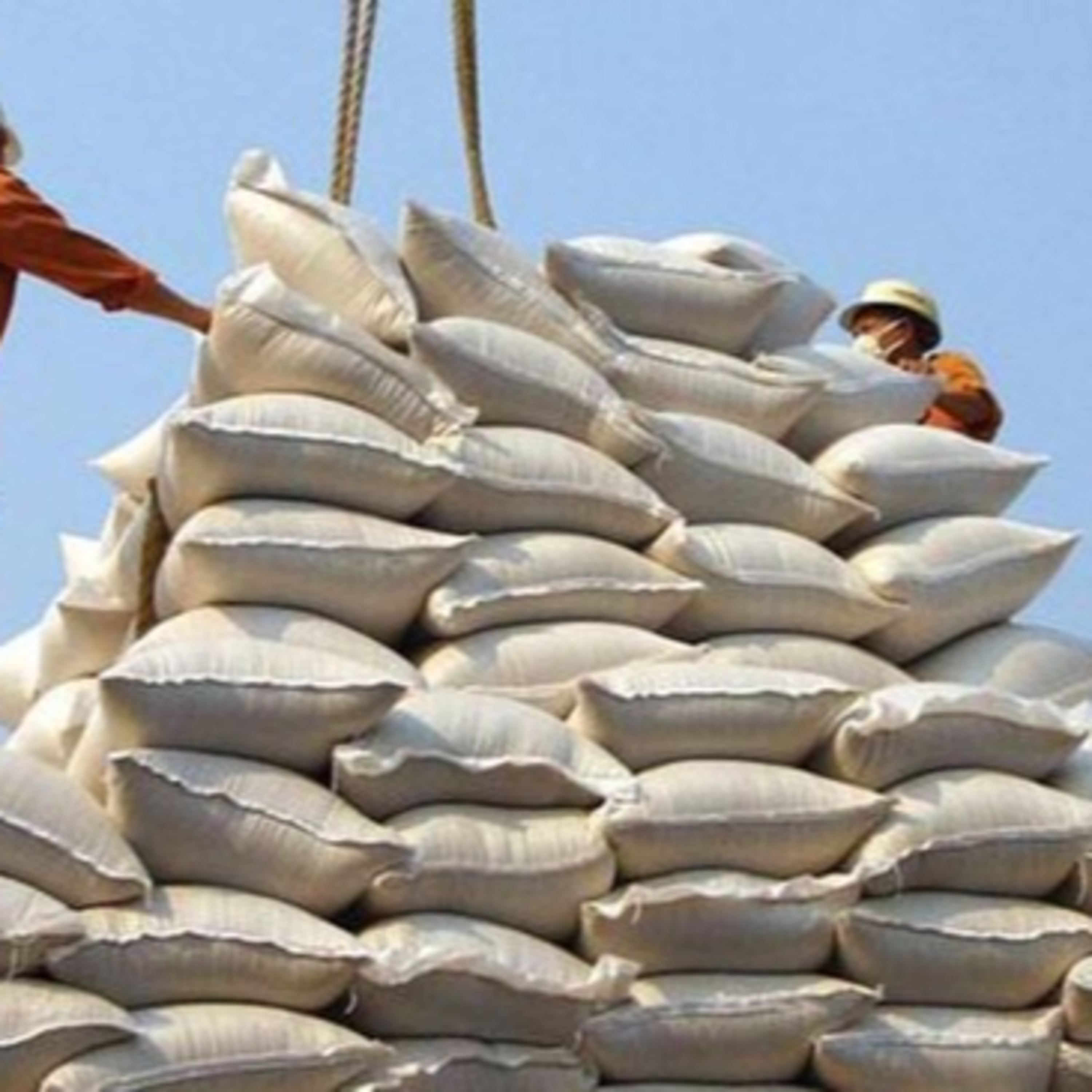 Thời sự 12h (23/9/2022)